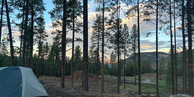 Camper submitted image from FR 4B Dispersed