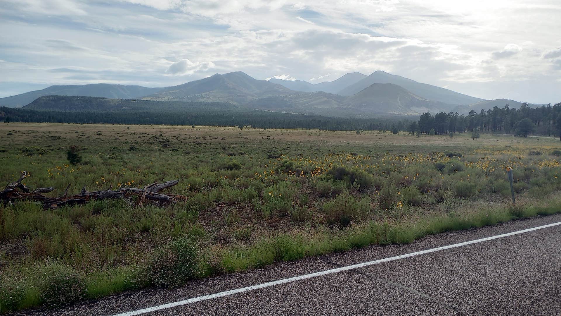 Camper submitted image from FR 523 dispersed - 5