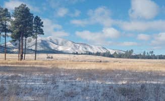 Starseed P.'s photo of a dispersed camping area at FR 523 dispersed near Cameron, AZ