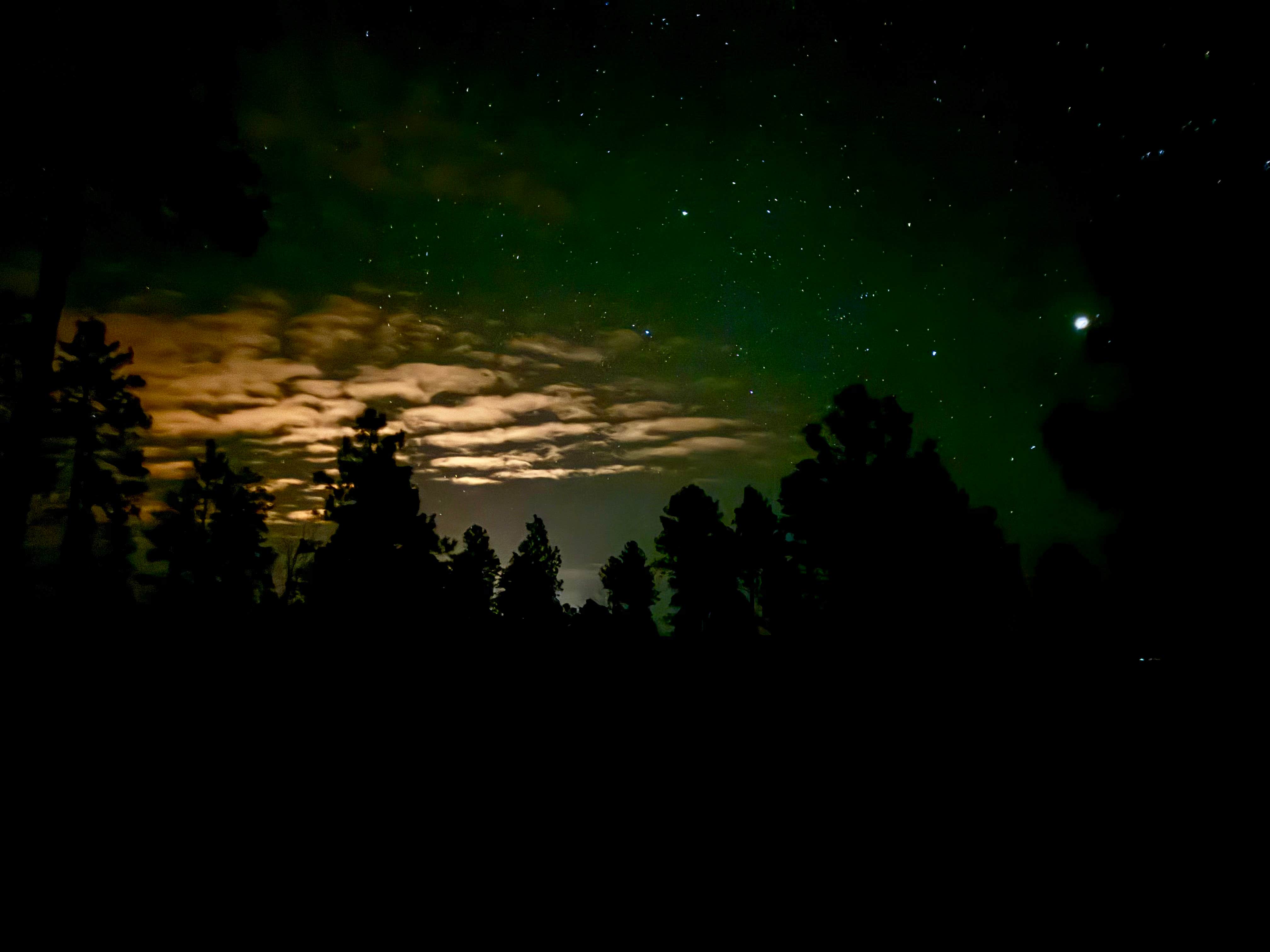 Jason W.'s photo of a dispersed camping area at FR 535 Dispersed near Munds Park, AZ