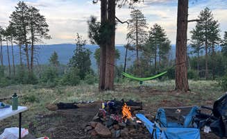 travis's photo of tent camping at FR 535 Dispersed near Cottonwood, AZ