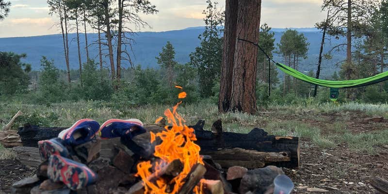 Camper submitted image from FR 535 Dispersed