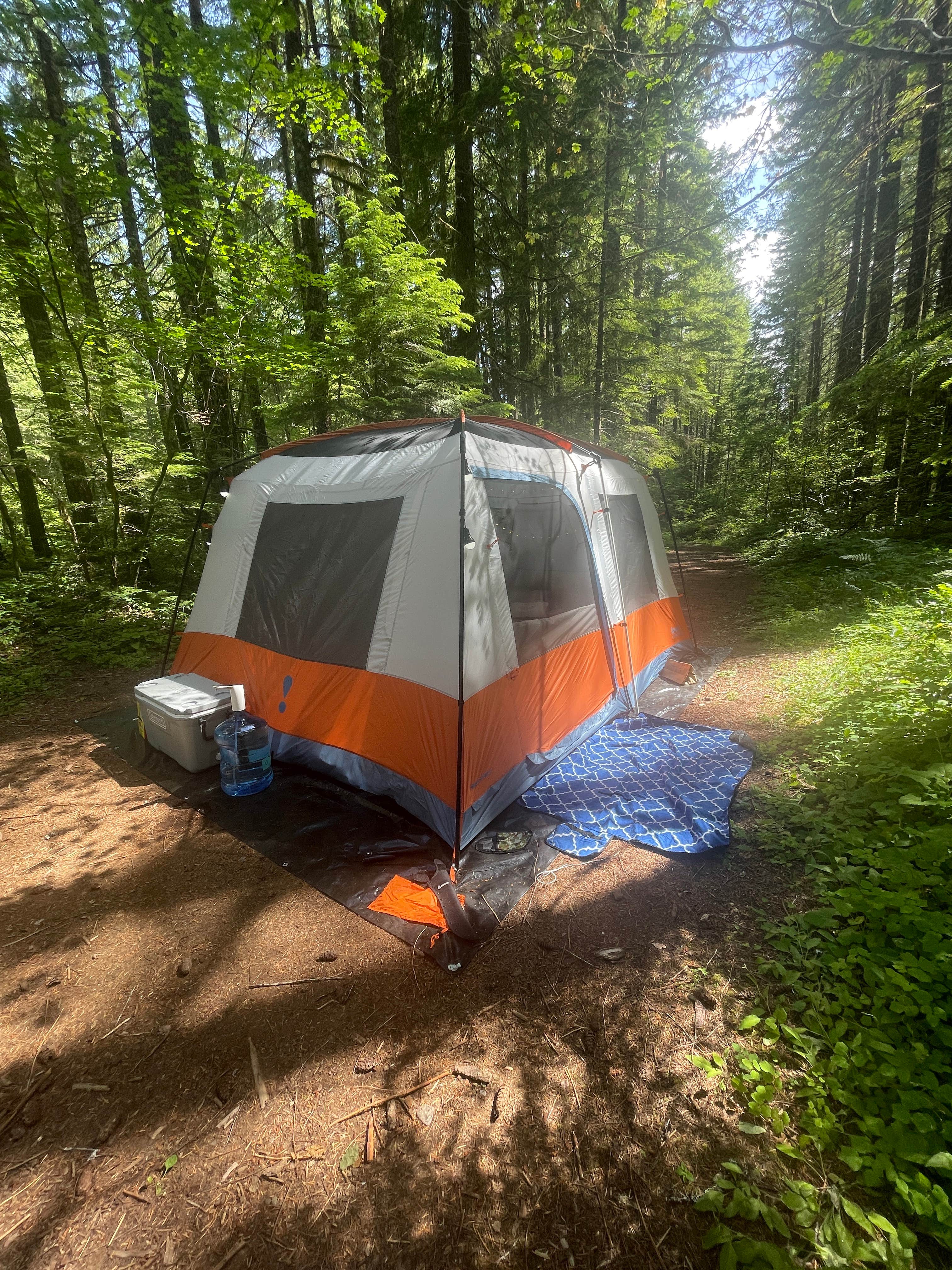 Ashlyn C.'s photo of a dispersed camping area at FR-604 Dispersed Site near Woodland, WA