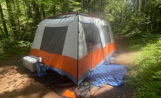 Ashlyn C.'s photo of a dispersed camping area at FR-604 Dispersed Site near Battle Ground, WA