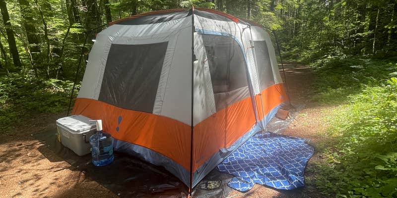 Camper submitted image from FR-604 Dispersed Site