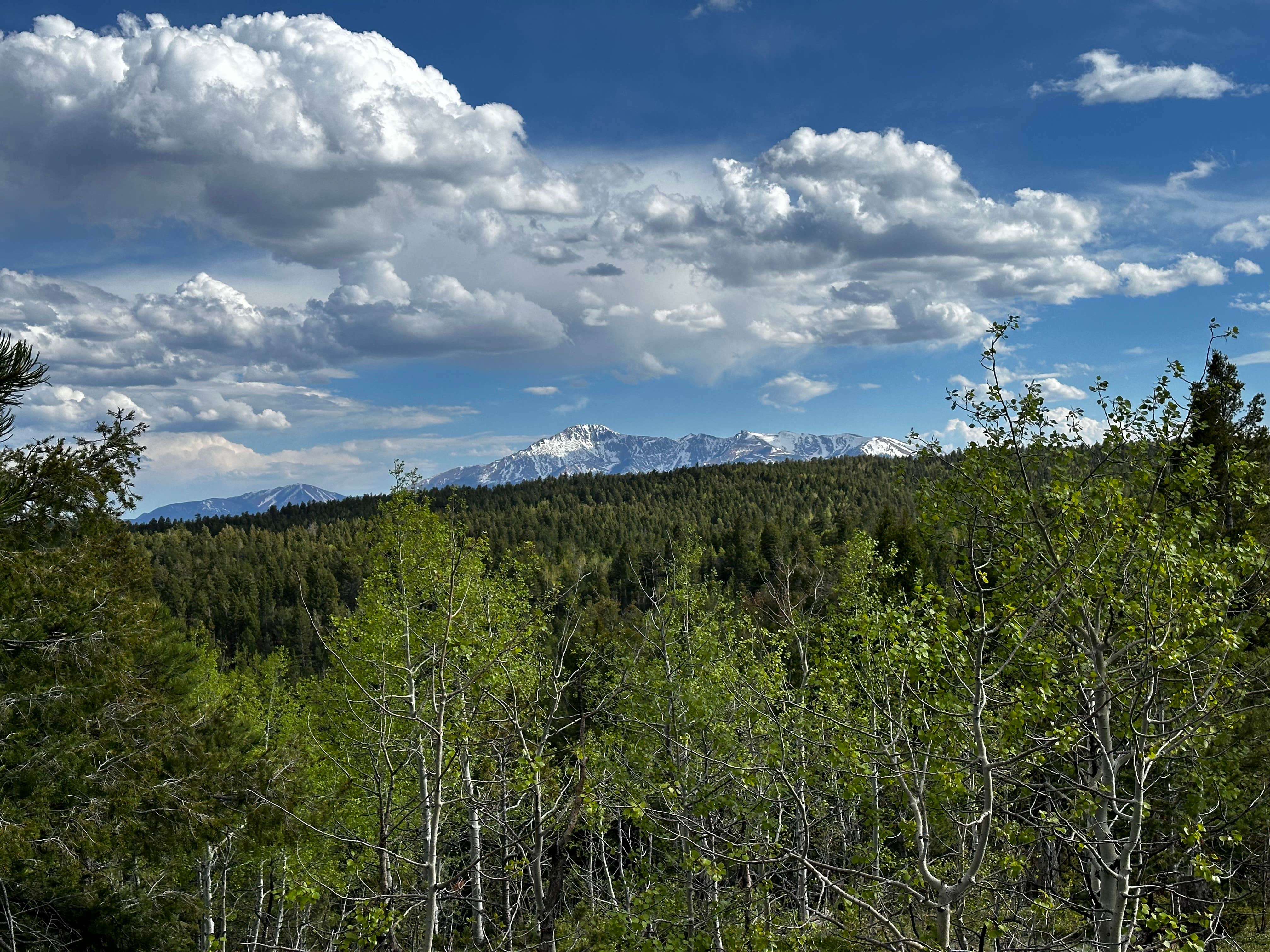 Camping near Ice Cave Rd Dispersed Site - Pike National Forest: FR 933, Woodland Park, Colorado
