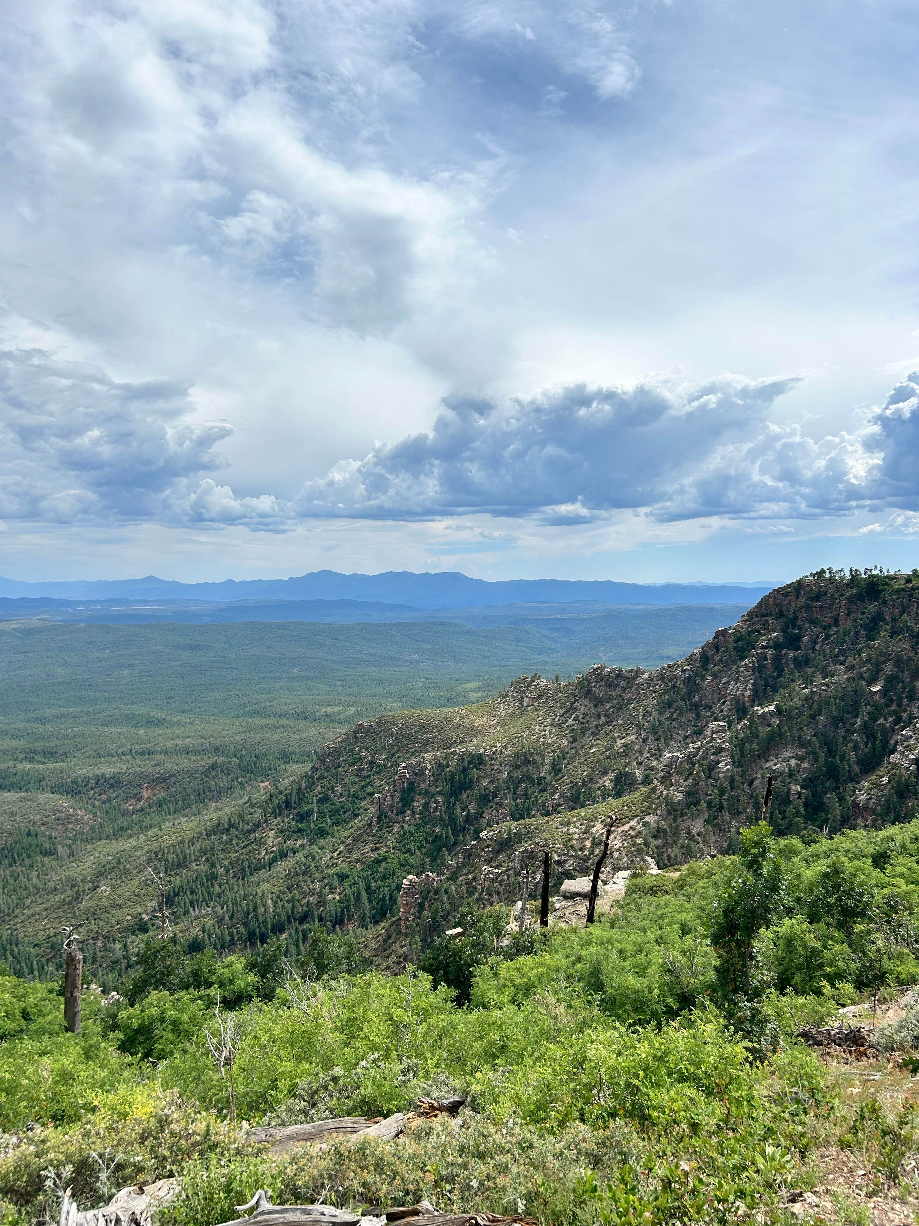 Camper-submitted photo at FR141 Dispersed Site near Pine, AZ
