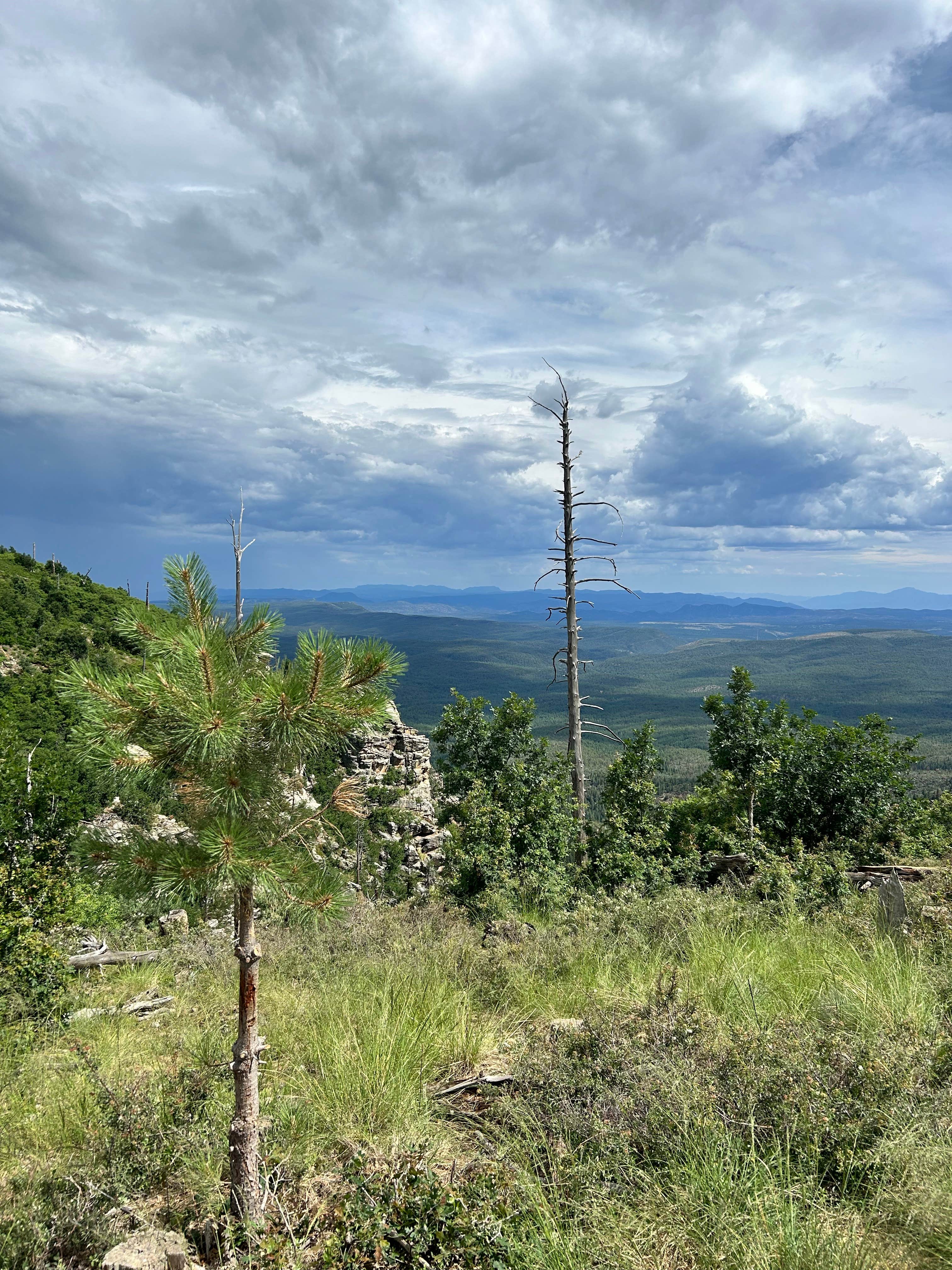 Robert H.'s photo of a dispersed camping area at FR141 Dispersed Site near Pine, AZ