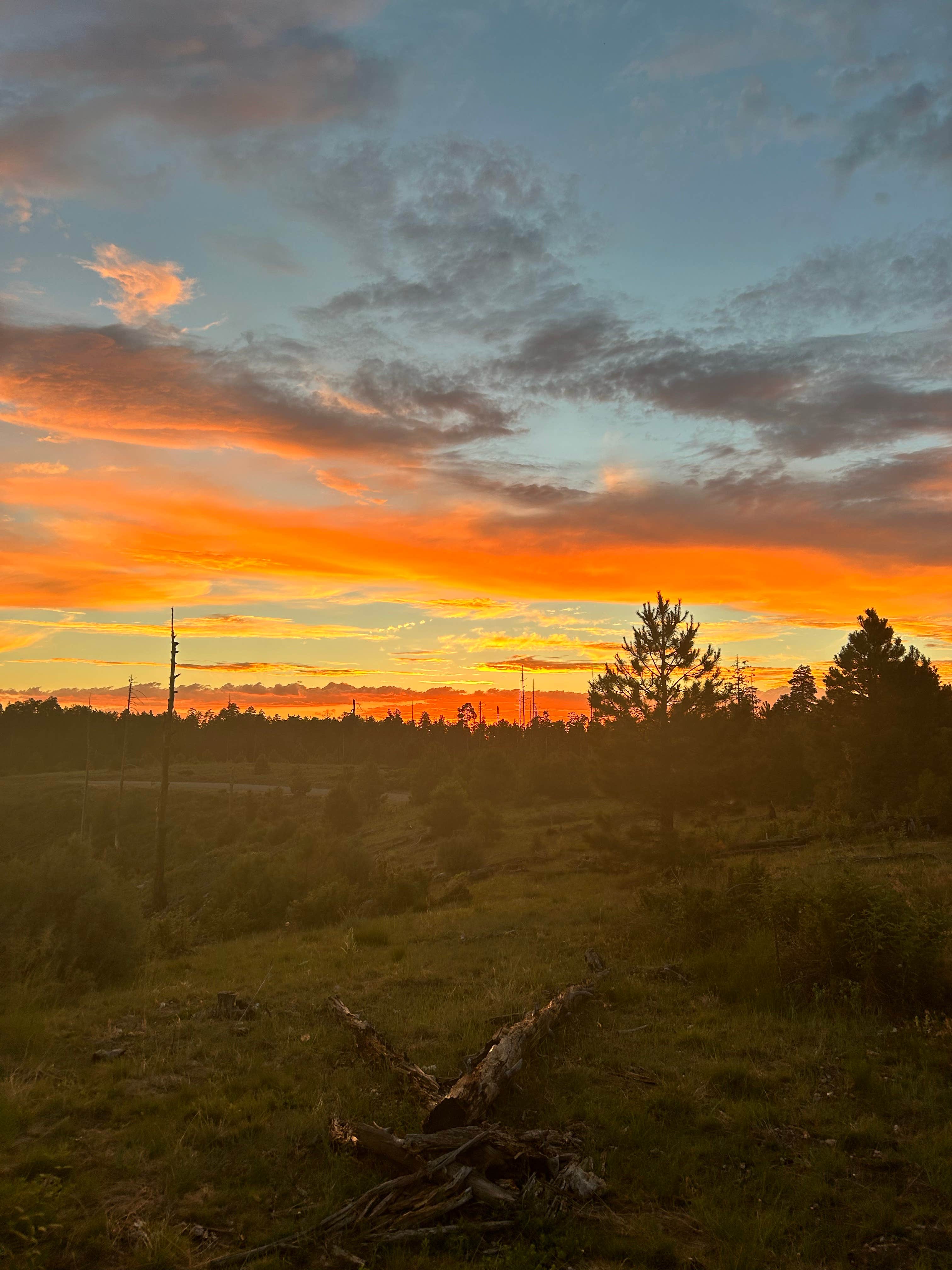Camper-submitted photo at FR141 Dispersed Site near Pine, AZ