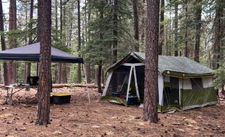 Robert H.'s photo at FR141 Dispersed Site near Pine, AZ