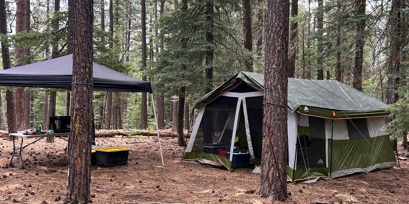 Camper submitted image from FR141 Dispersed Site