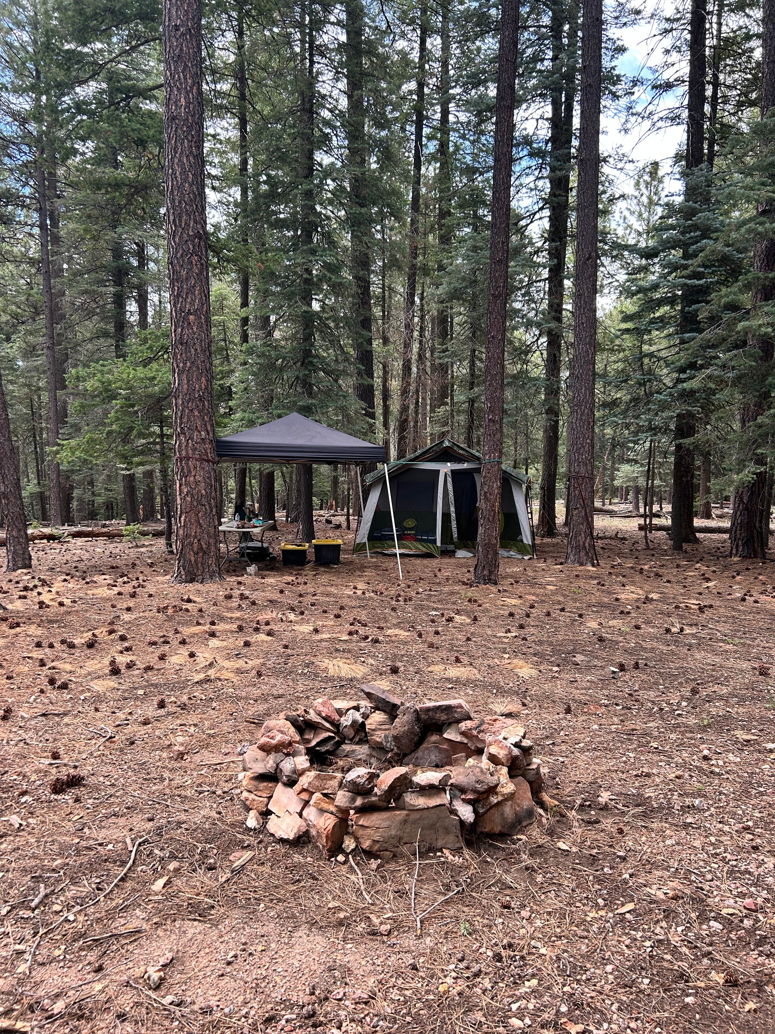 Camper submitted image from FR141 Dispersed Site - 3