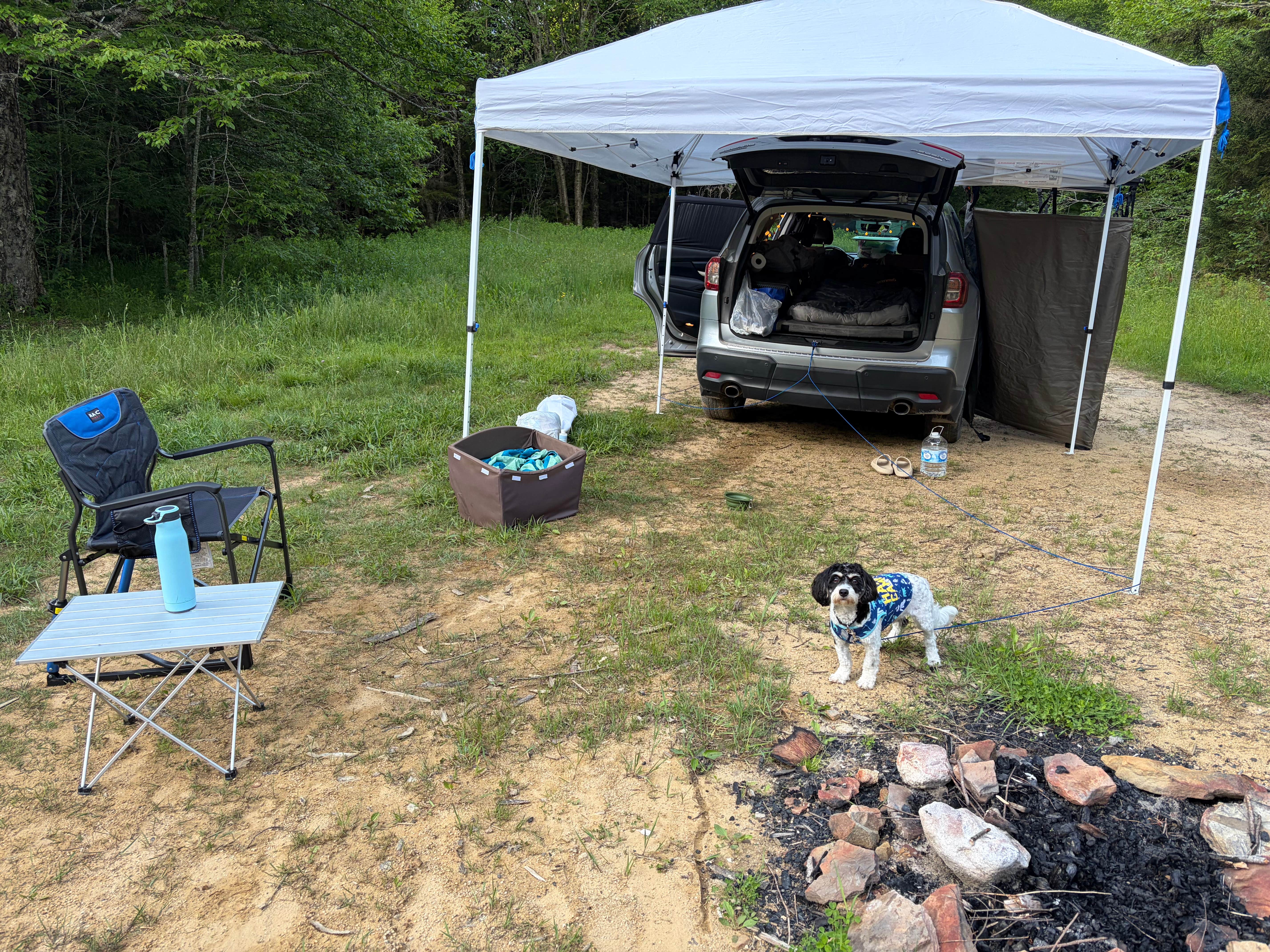 FR227 Dispersed Camping