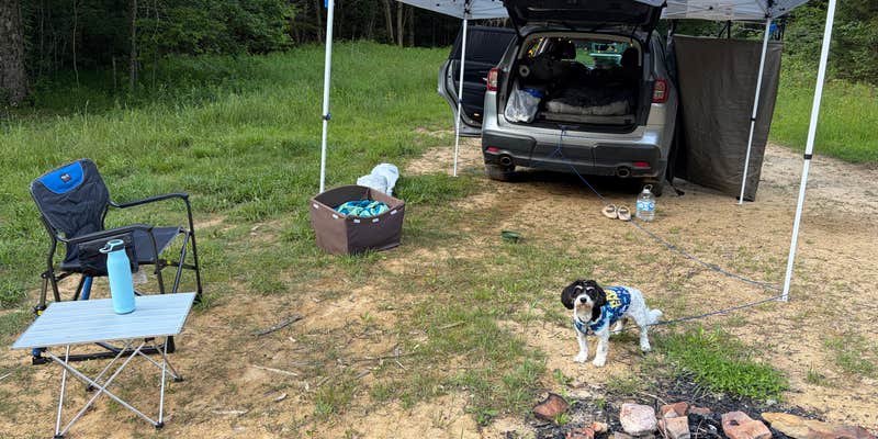 Camper submitted image from FR227 Dispersed Camping