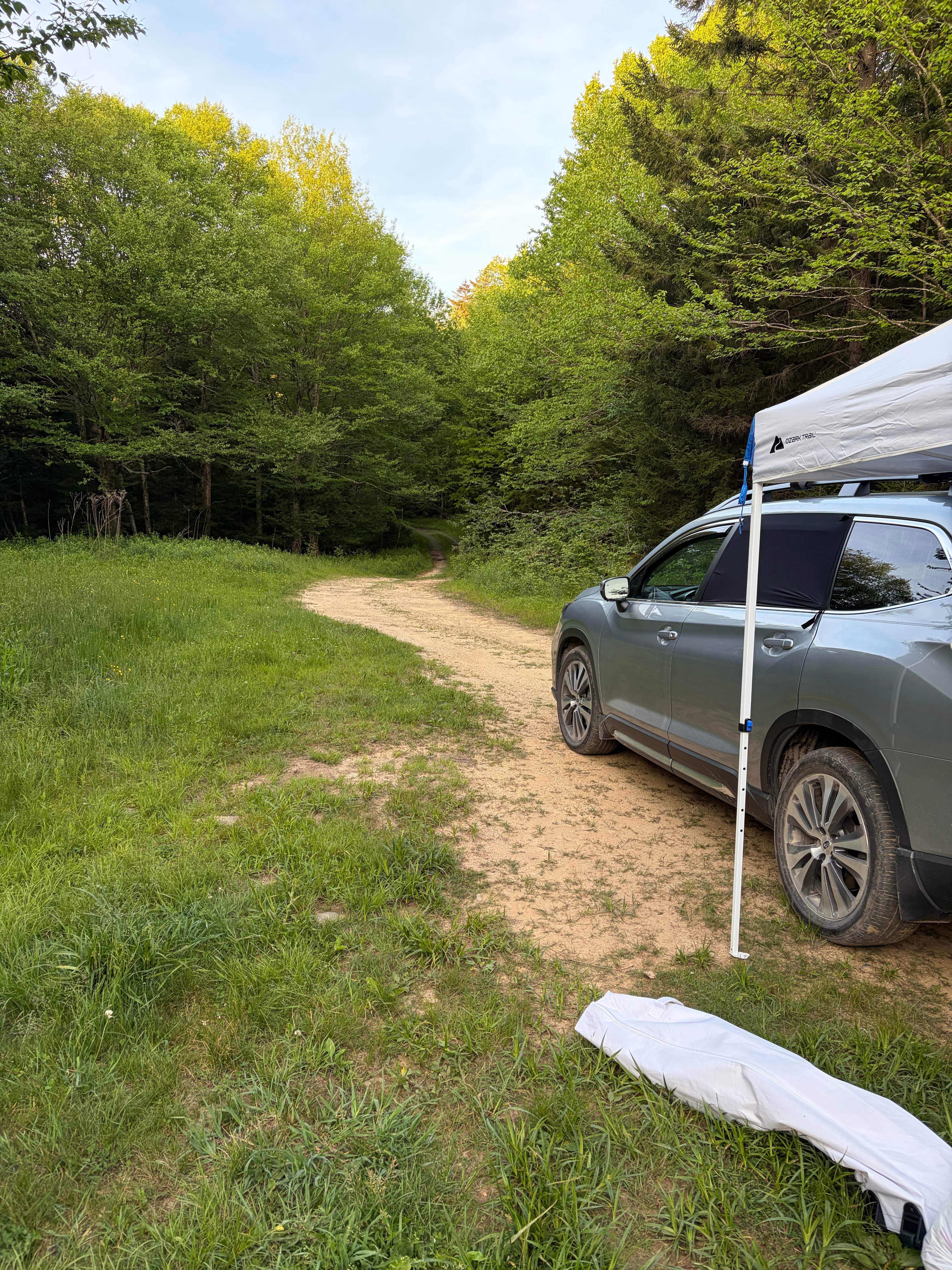 Camper-submitted photo at FR227 Dispersed Camping near Craigsville, WV