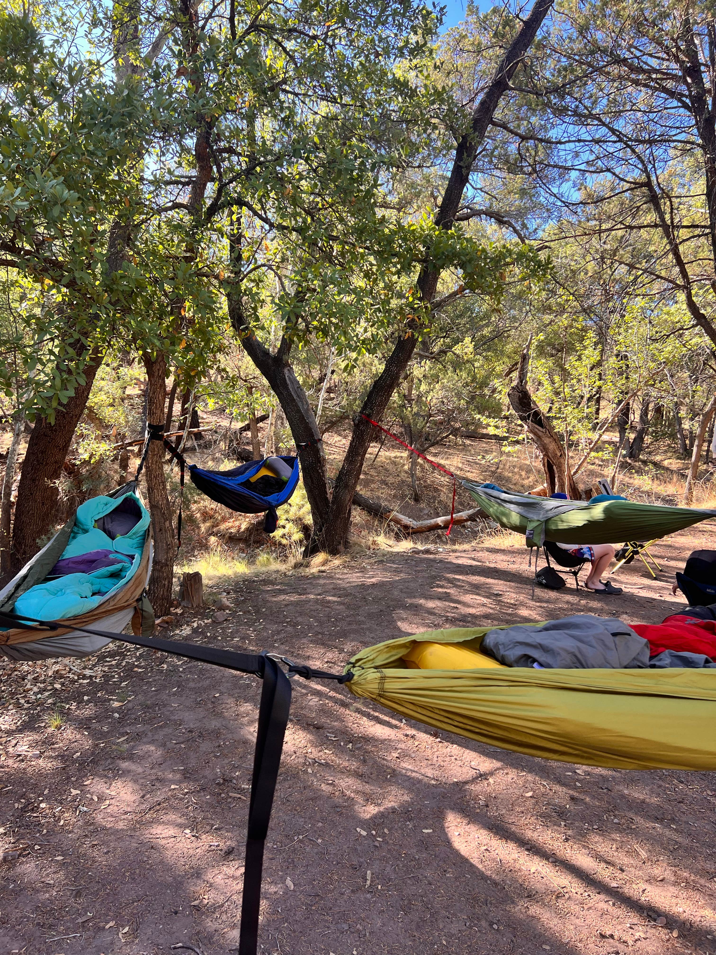 Camper-submitted photo at FR228 near Fort Huachuca, AZ
