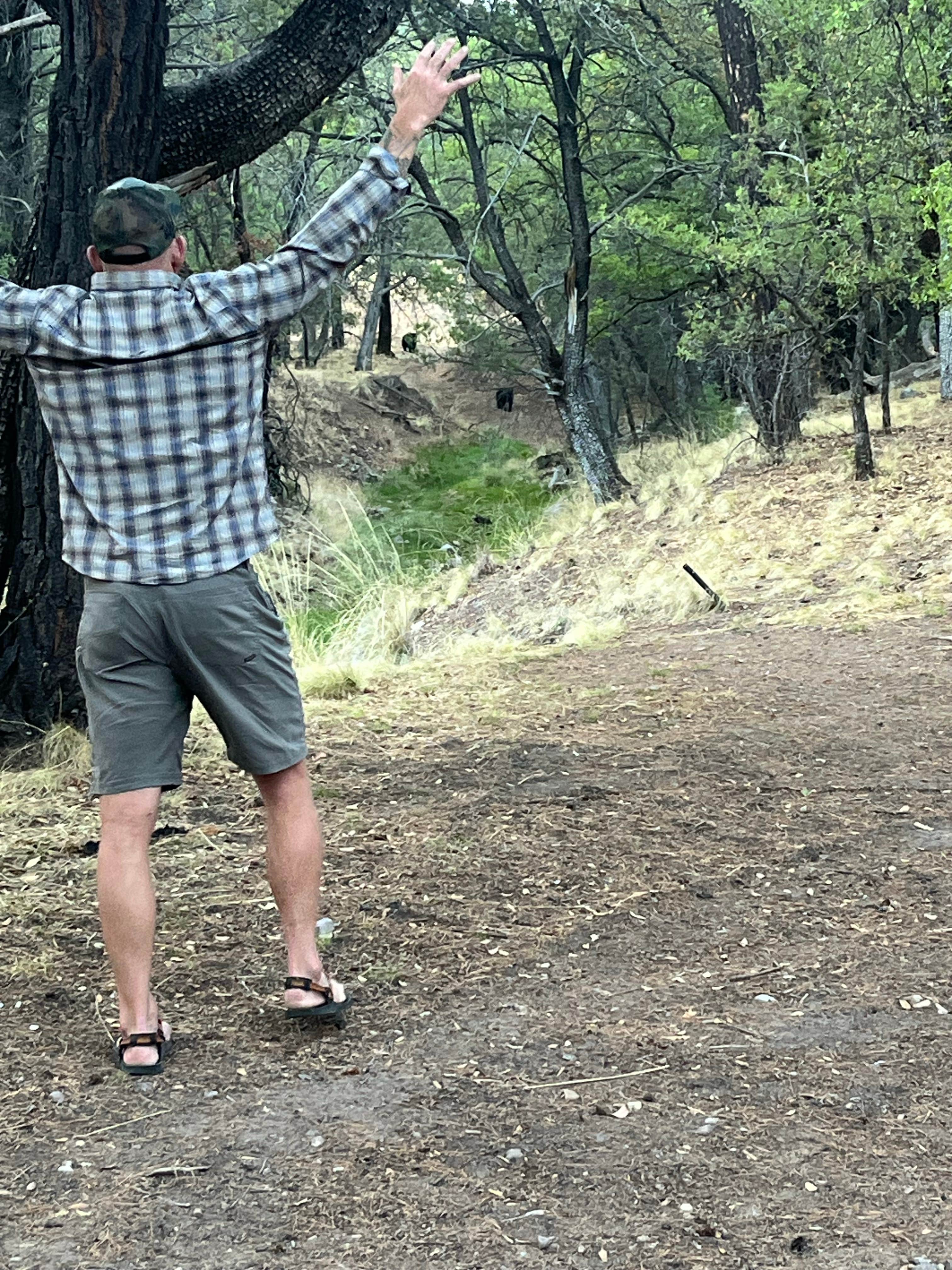 Camper-submitted photo at FR228 near Fort Huachuca, AZ
