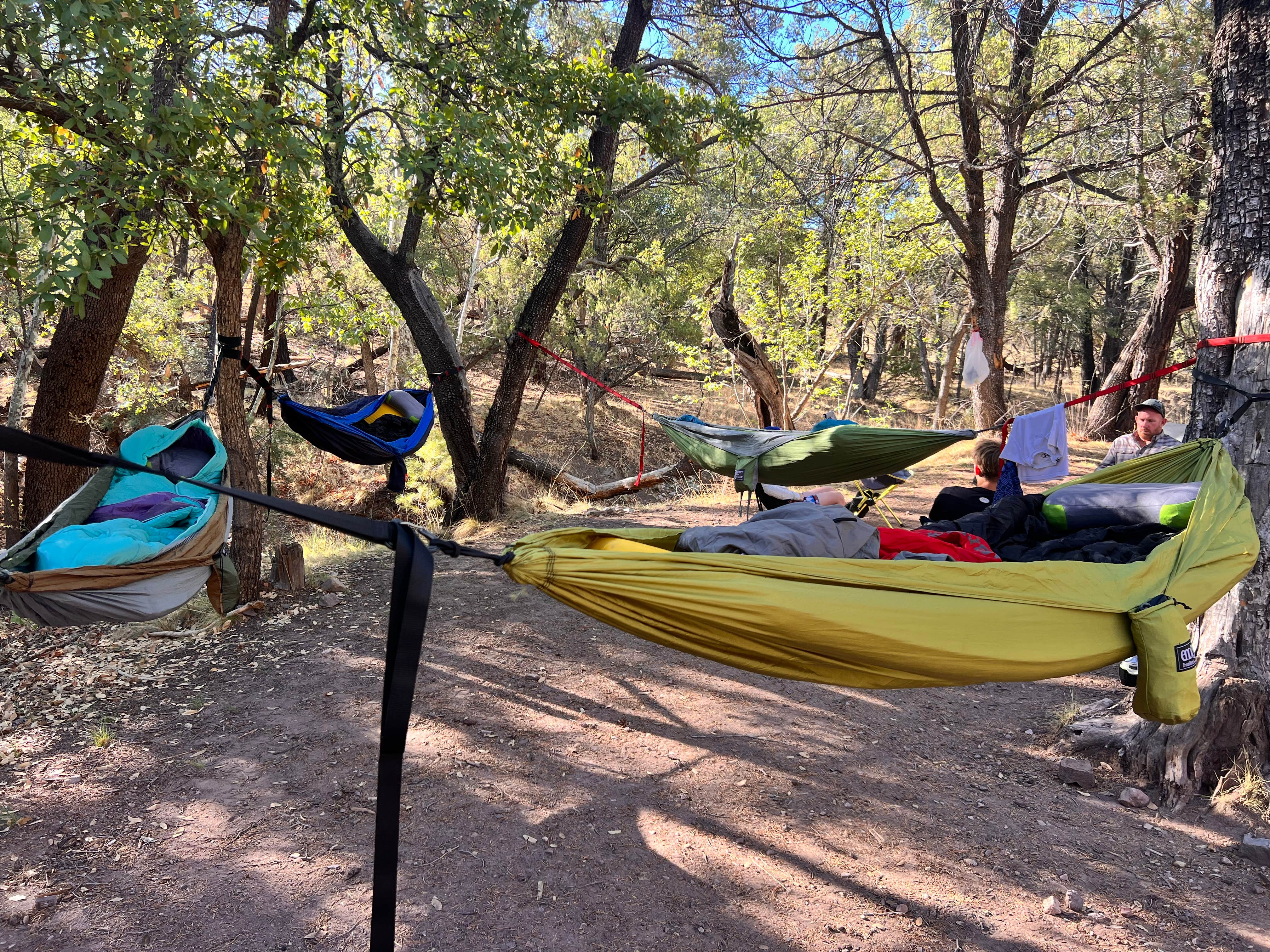 Camper-submitted photo at FR228 near Fort Huachuca, AZ