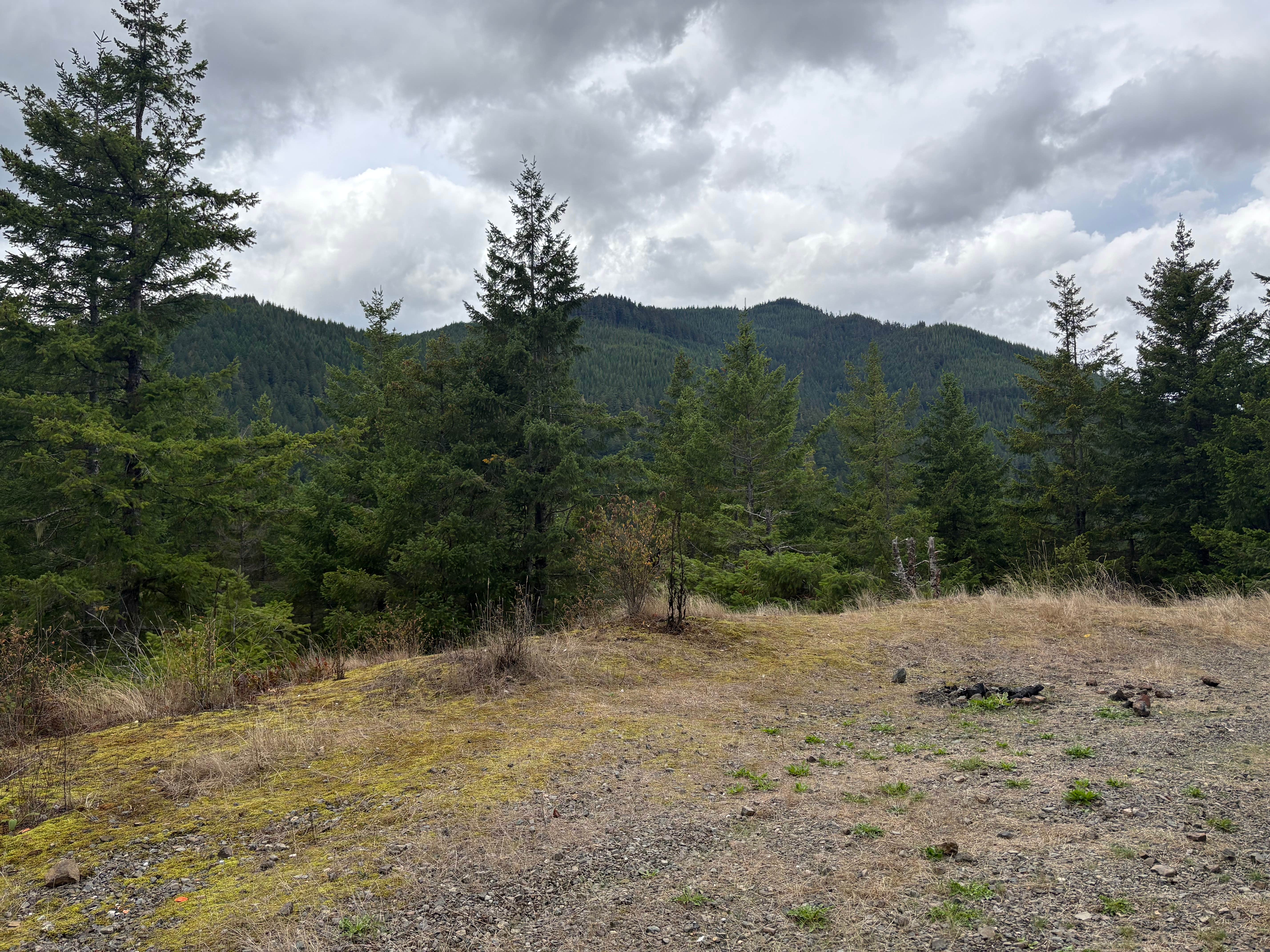 Camper-submitted photo at FR27 Landing near Bremerton, WA