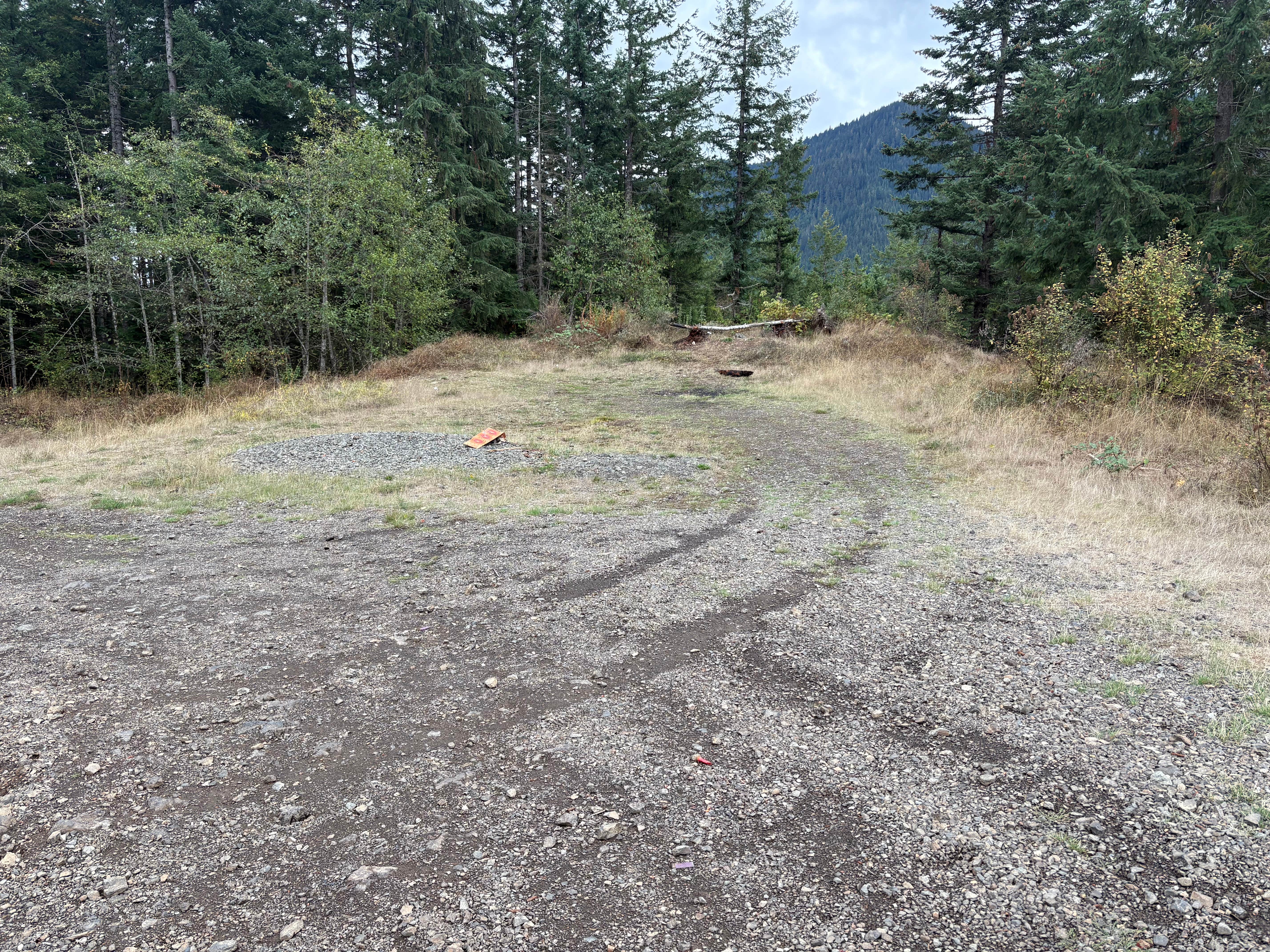 Camper-submitted photo at FR27 Landing near Bremerton, WA