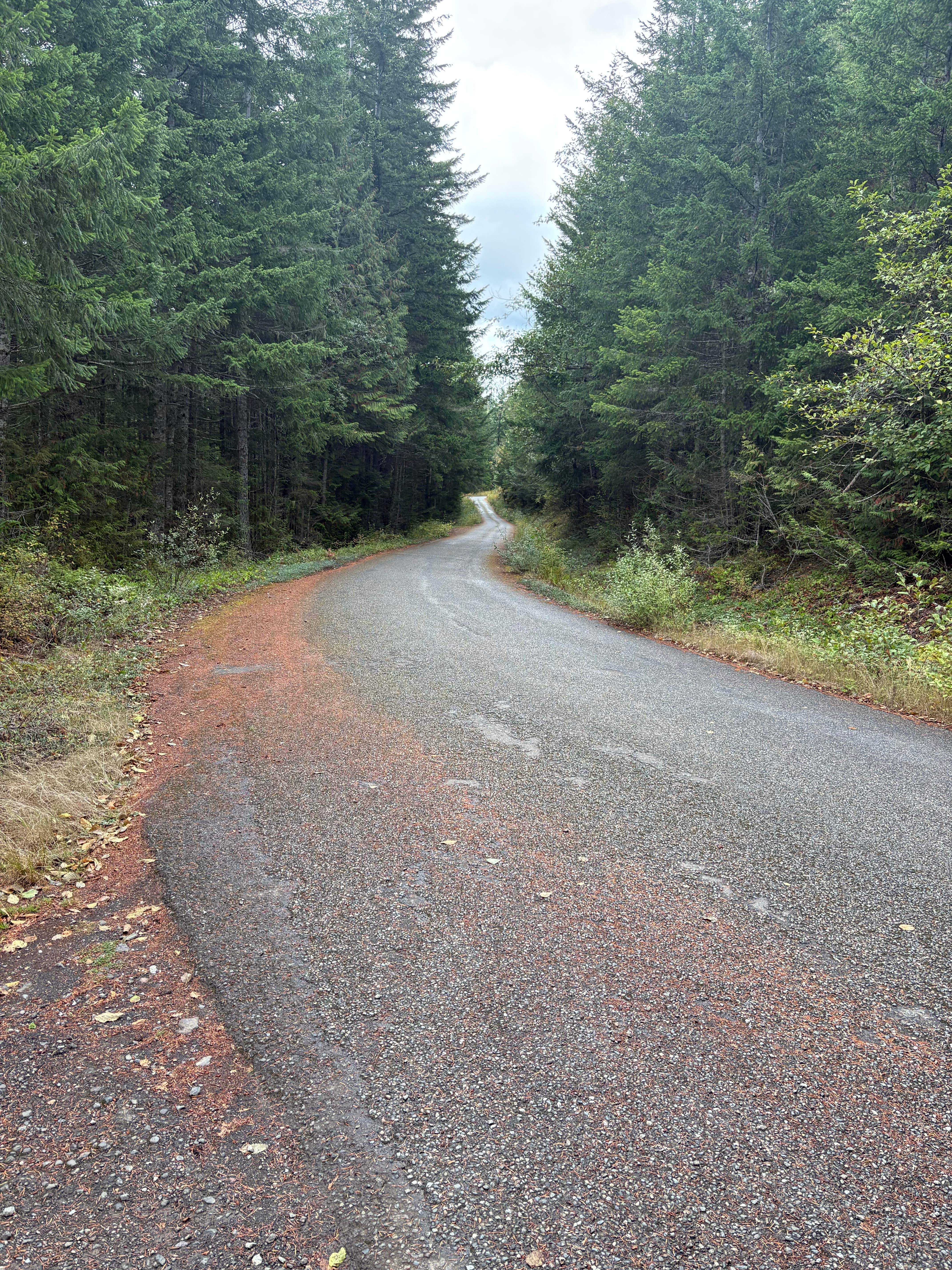 Camper-submitted photo at FR27 Landing near Bremerton, WA