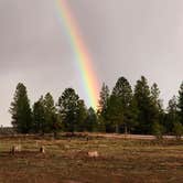 Review photo of FR3623 Dispersed by Iris V., October 12, 2025