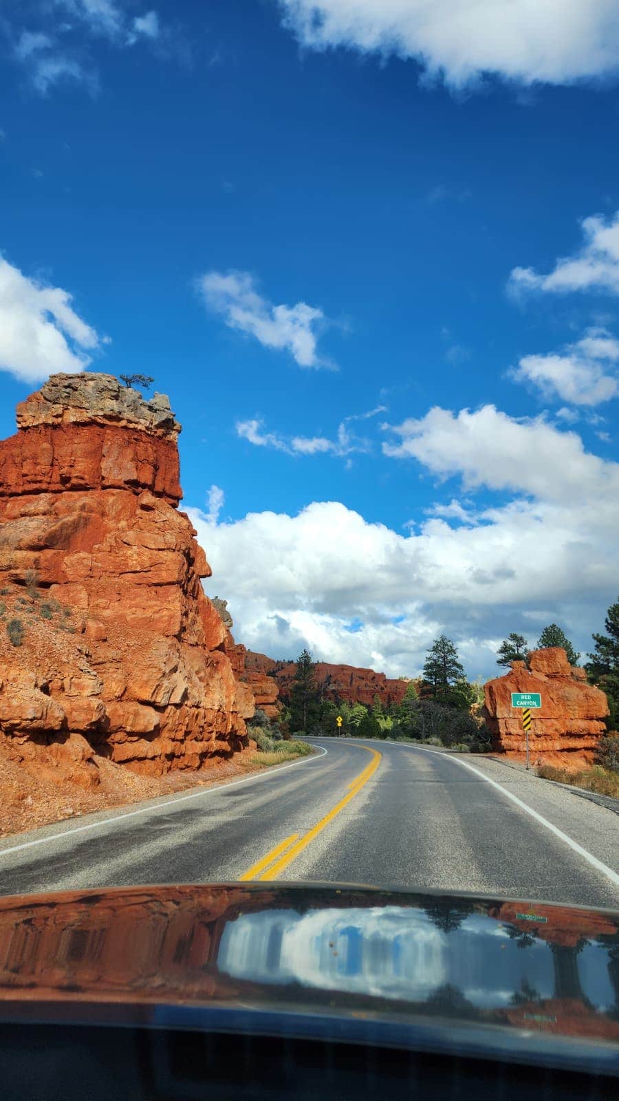 Iris V.'s photo of a dispersed camping area at FR3623 Dispersed near Dixie National Forest