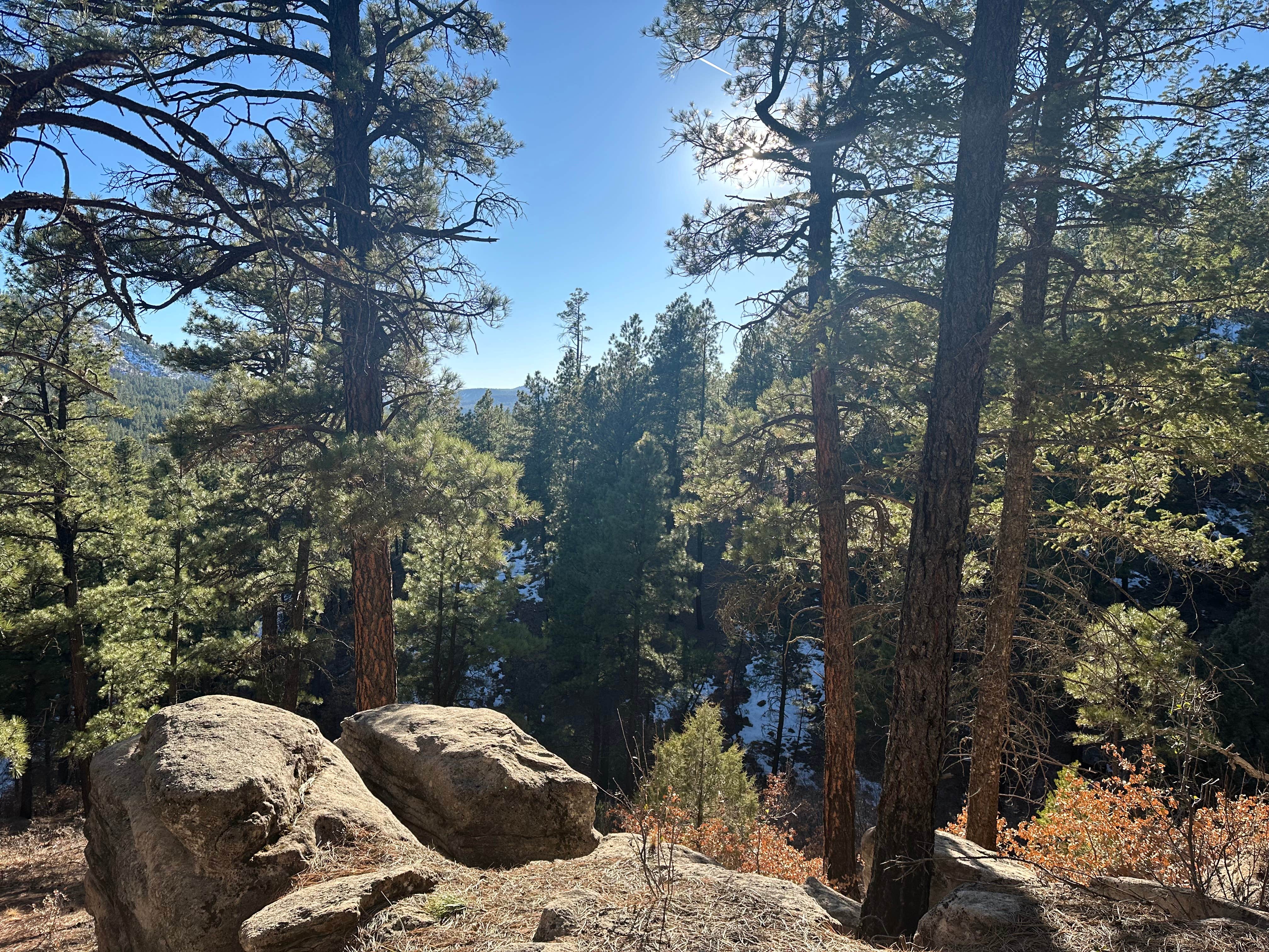 Camper-submitted photo at FR376 Dispersed near Jemez Springs, NM