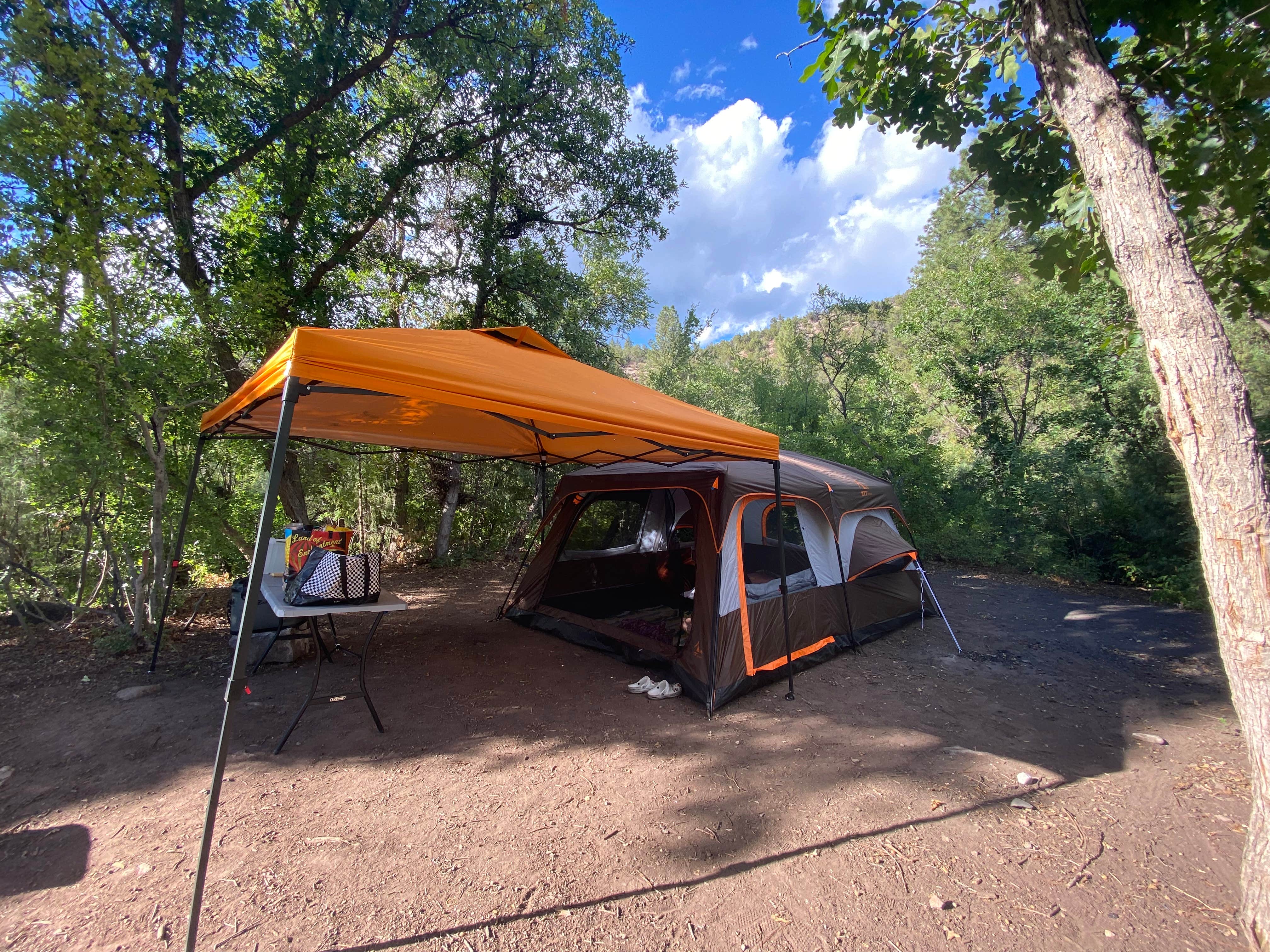 Camper submitted image from FR376 Dispersed - 3