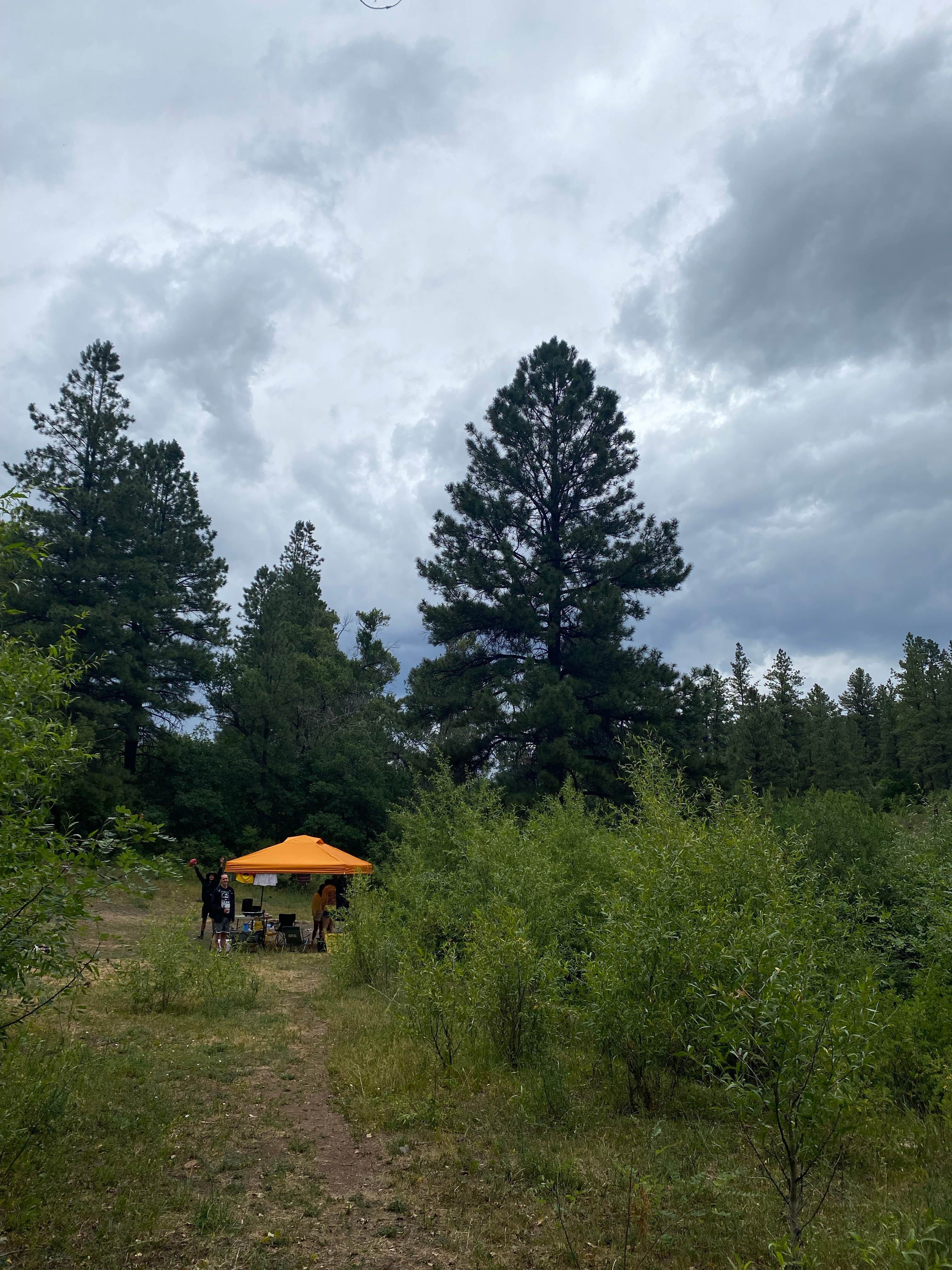 Maya T.'s photo at FR376 Dispersed near Jemez Springs, NM