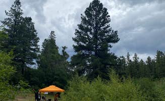 Maya T.'s photo at FR376 Dispersed near Cuba, NM