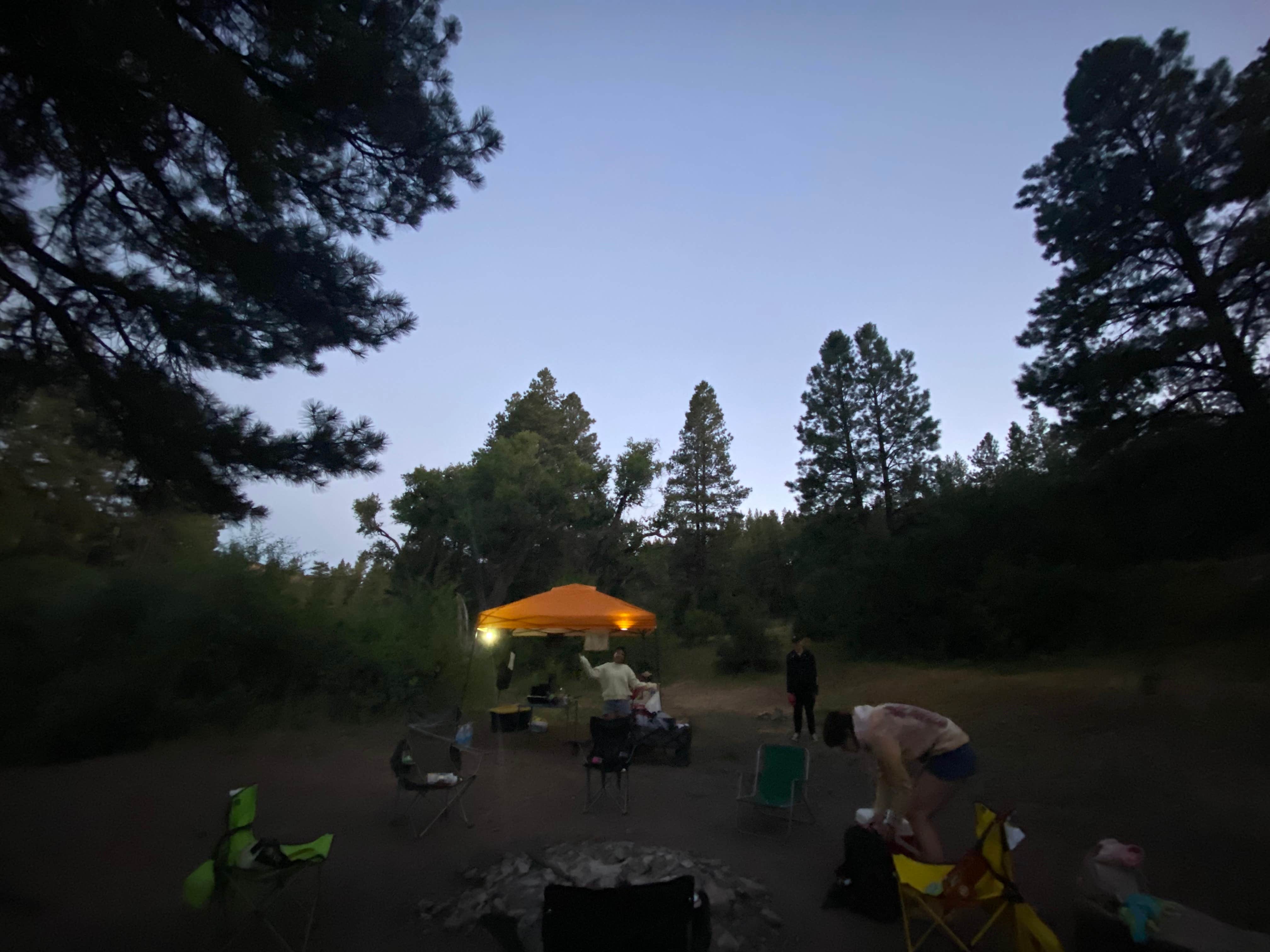 Camper submitted image from FR376 Dispersed - 4