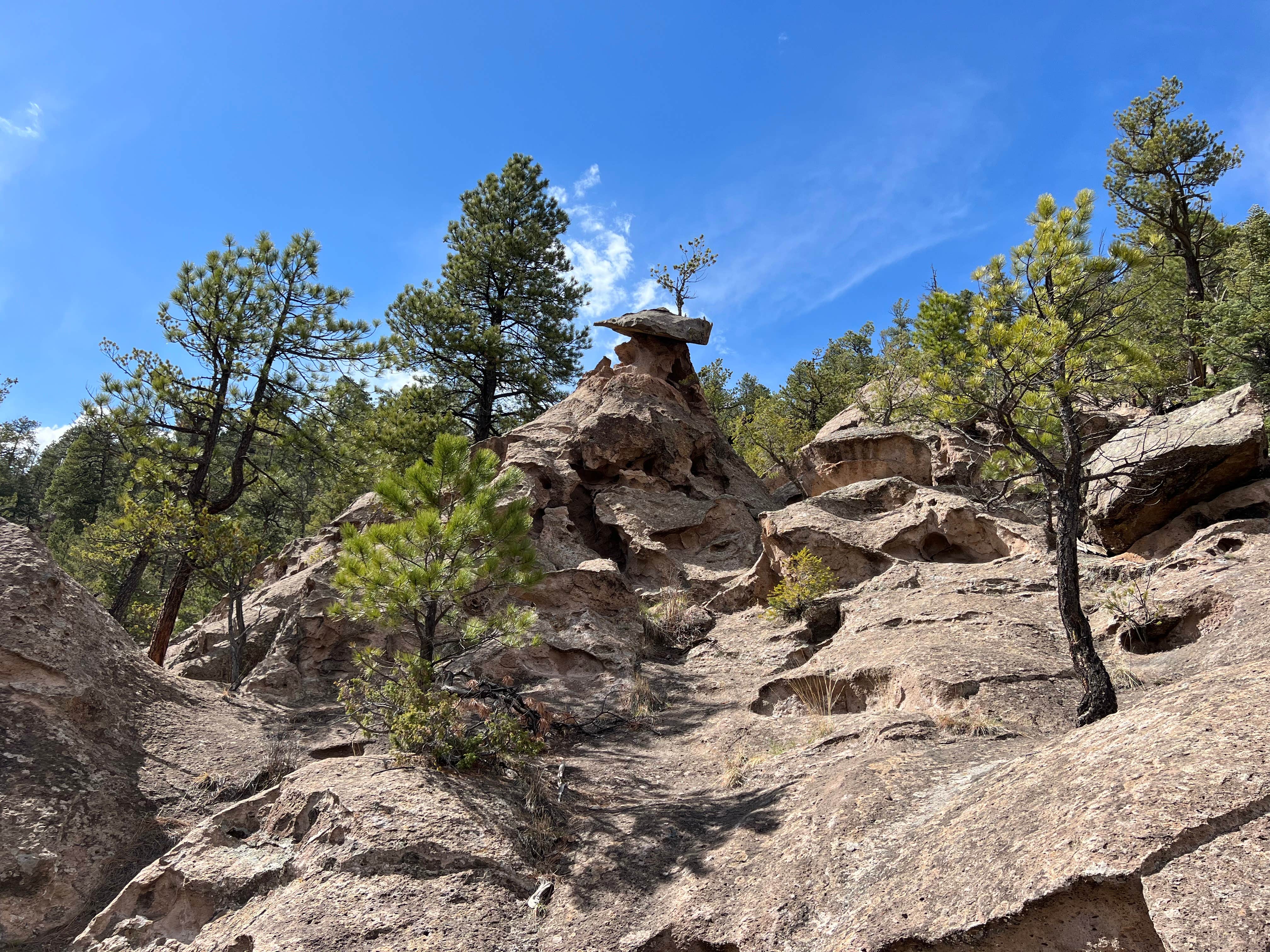 Camper-submitted photo at FR376 Dispersed near Abiquiu Lake
