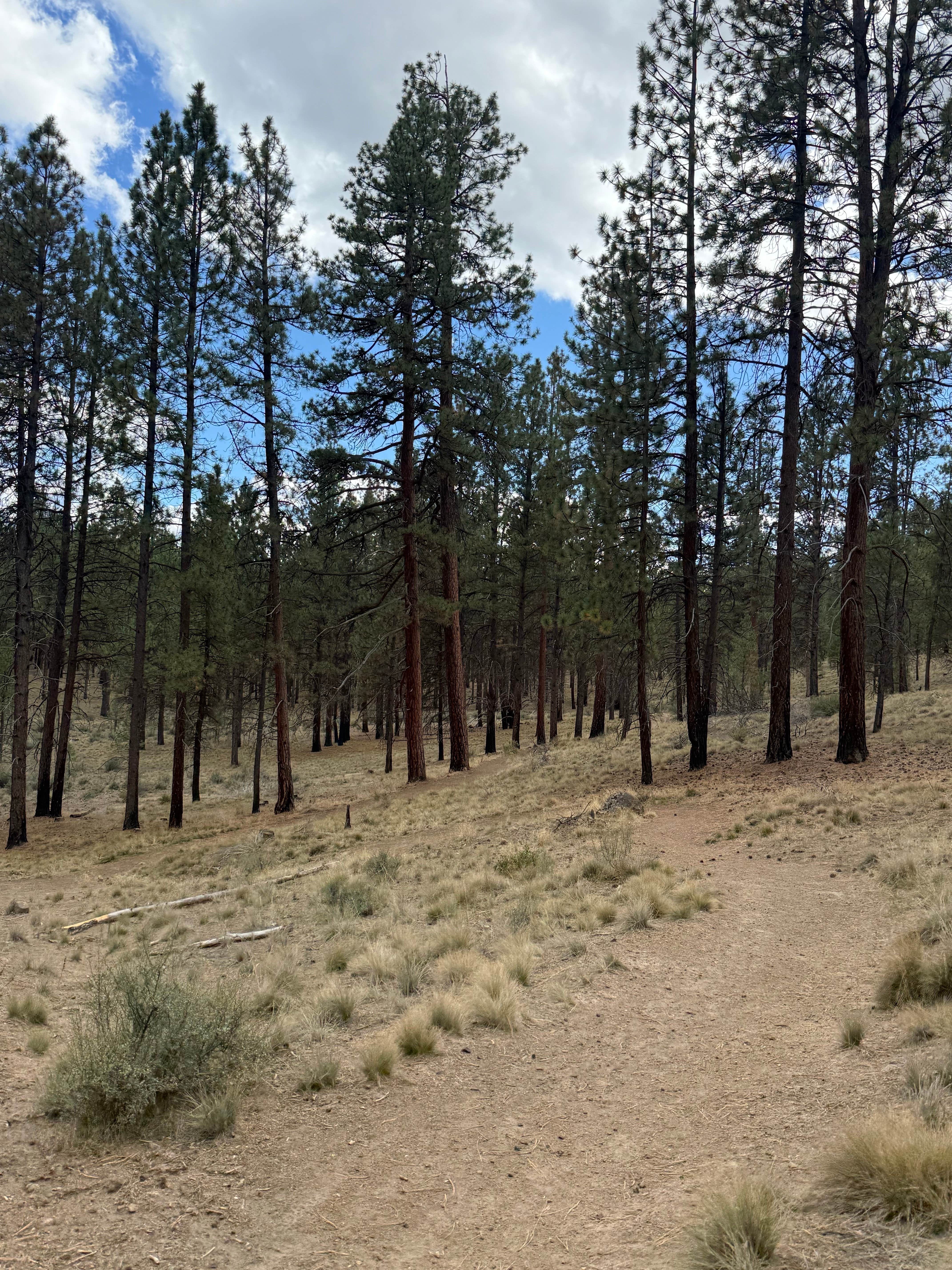 Camping near Scandia RV Park: FR4610 Dispersed, Bend, Oregon