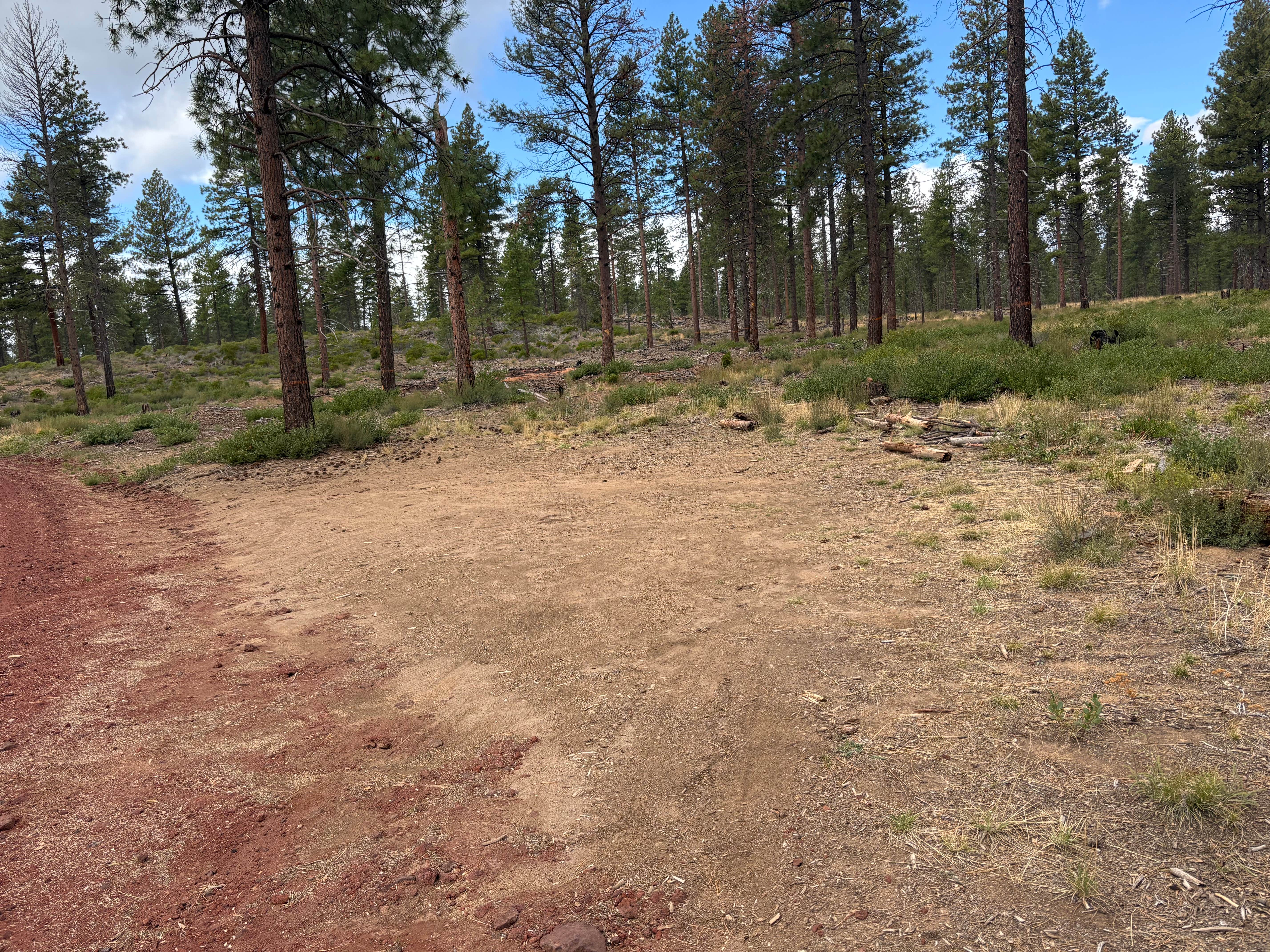 Camper-submitted photo at FR4610 Dispersed near Bend, OR