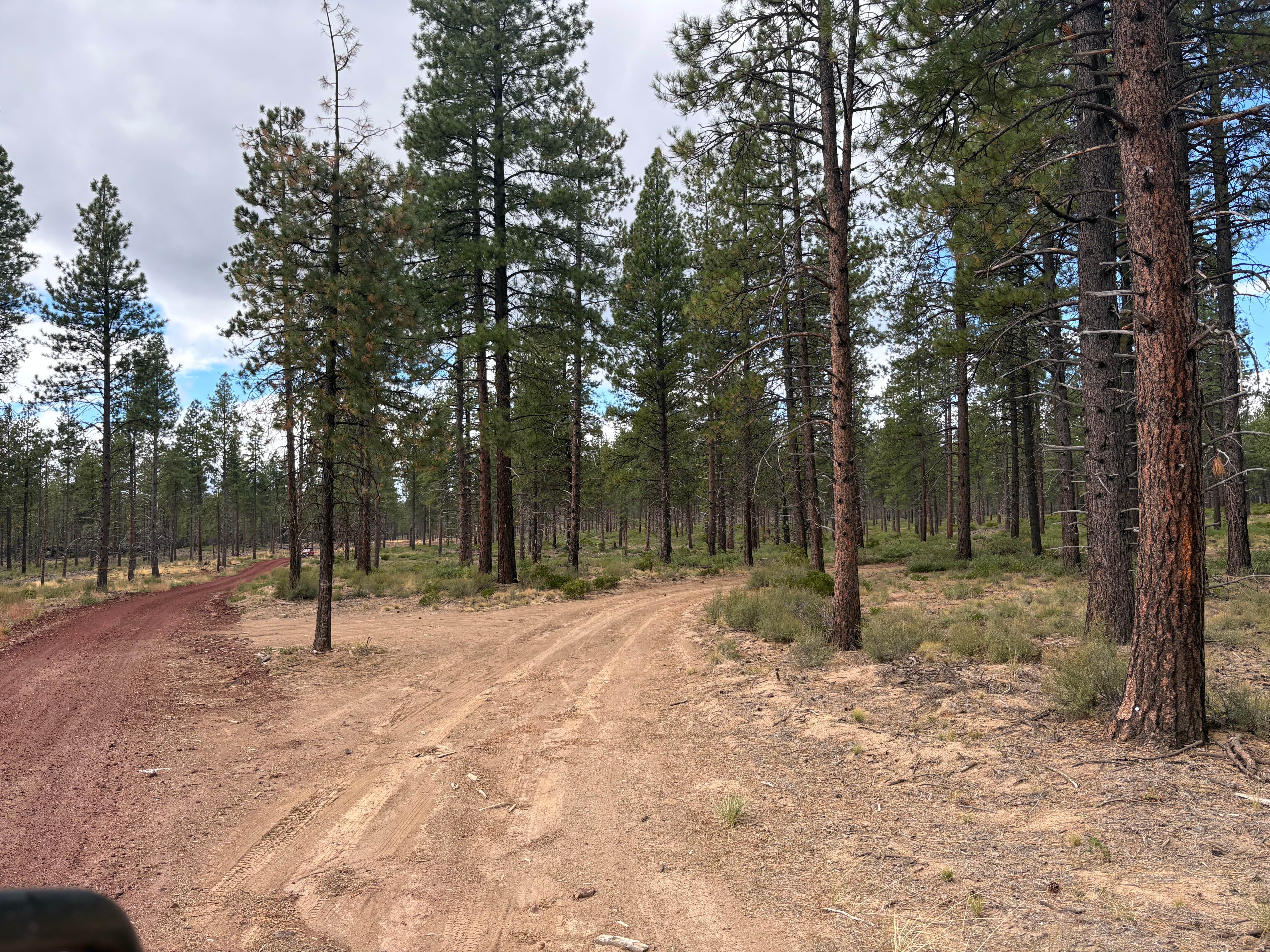 Camper-submitted photo at FR4610 Dispersed near Bend, OR