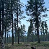 Review photo of FR4610 Dispersed by Reagan M., September 21, 2025