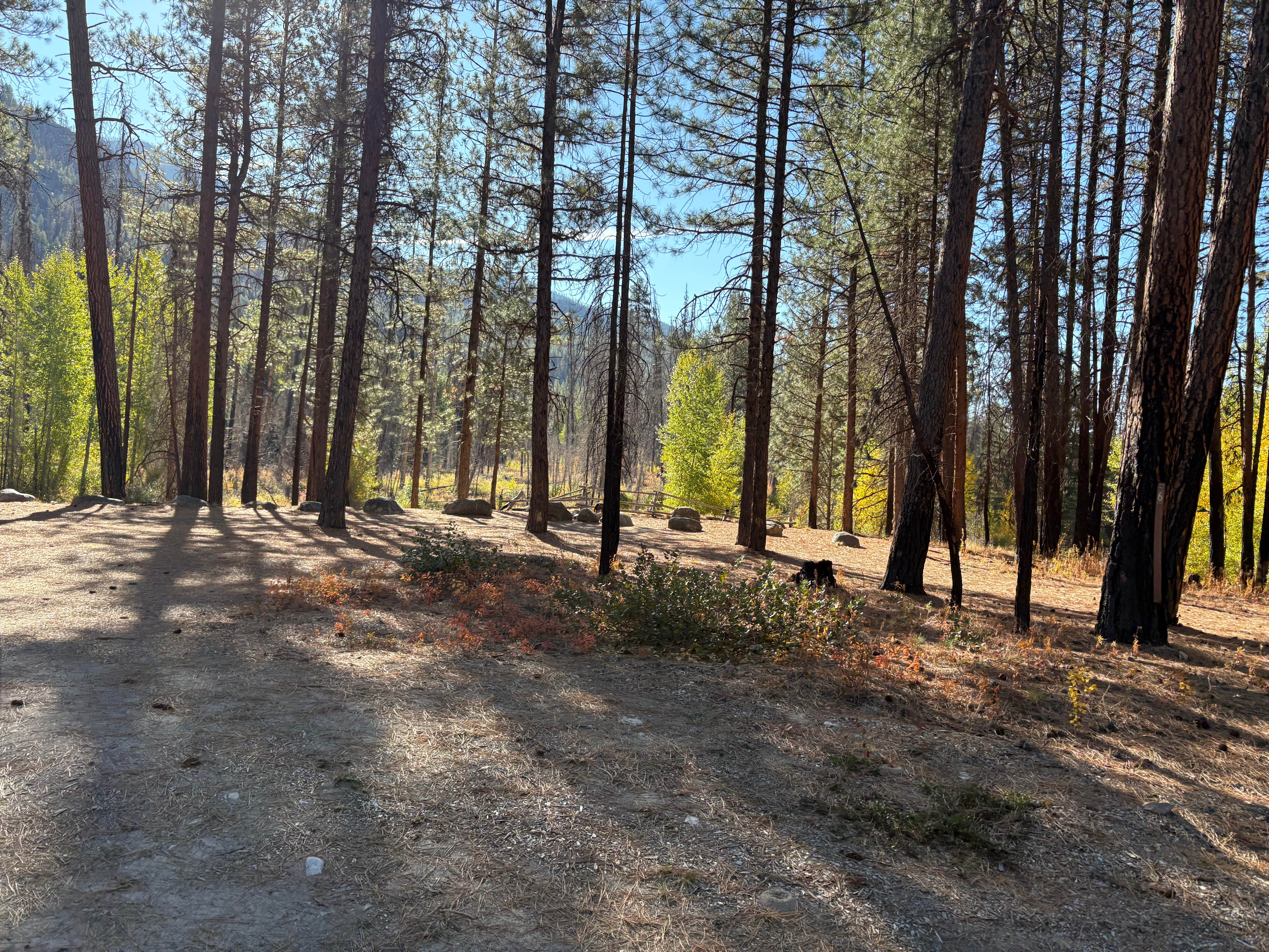 Camper-submitted photo at FR51 near Conconully, WA