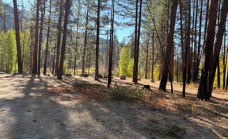 Sarah S.'s photo of camping with pets at FR51 near Oroville, WA