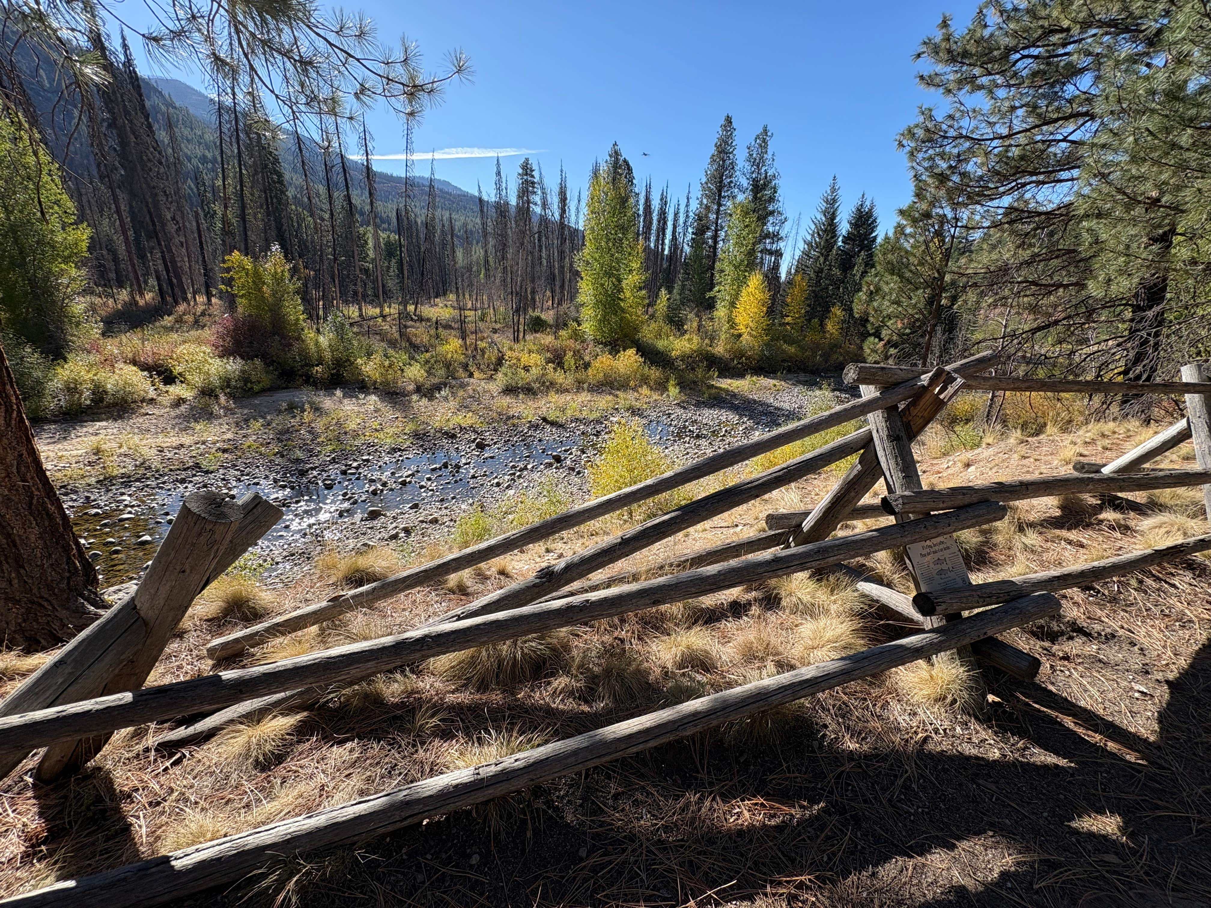 Camper-submitted photo at FR51 near Conconully, WA