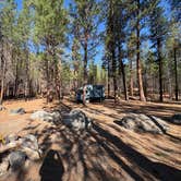 Review photo of FR51 by Sarah S., October 11, 2025