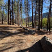 Review photo of FR51 by Sarah S., October 11, 2025