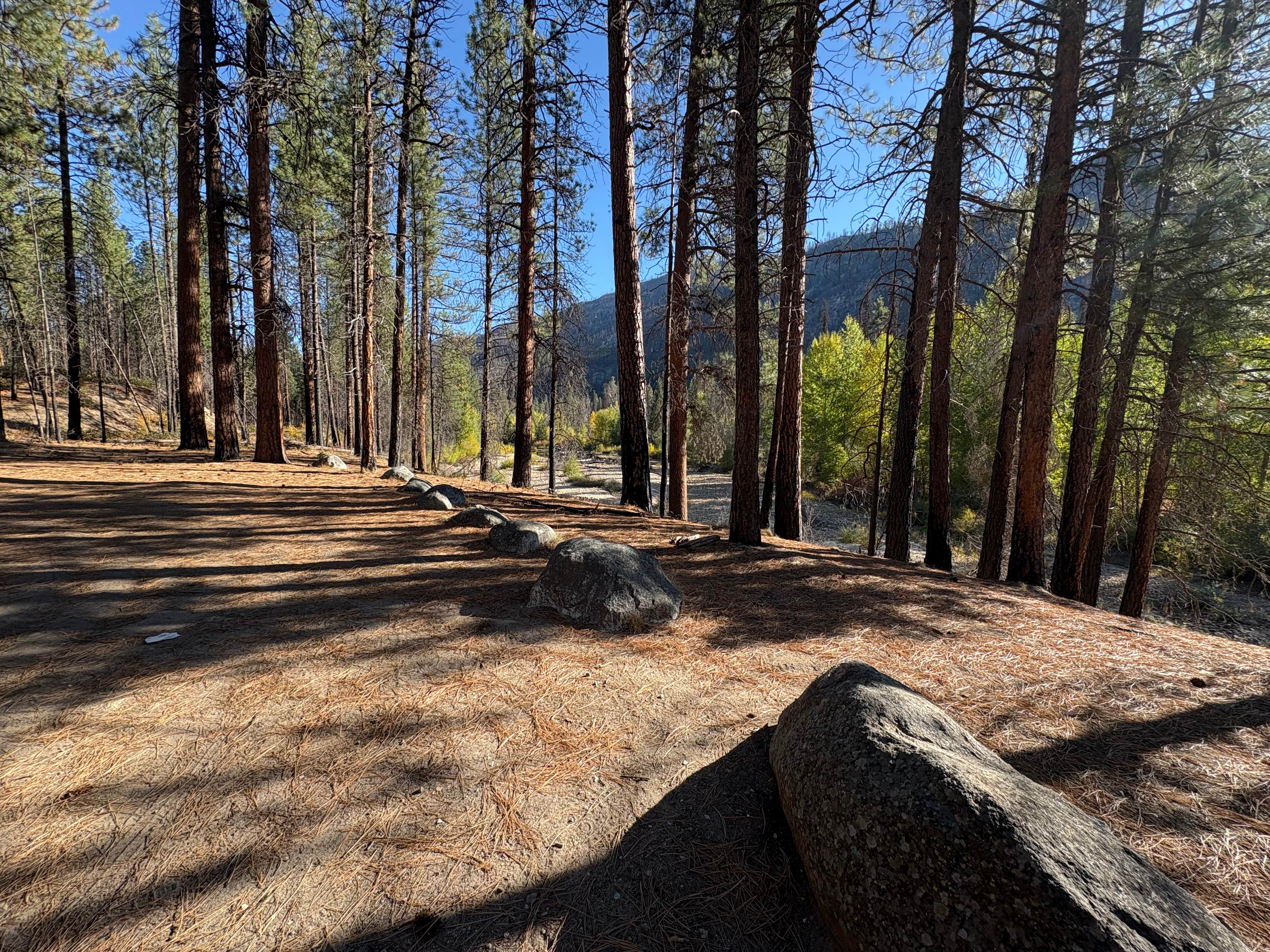 Camper submitted image from FR51 - 2