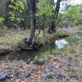 Review photo of FR618 Dispersed Camping by Meghan B., April 30, 2025