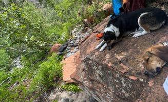 Zach H.'s photo of camping with pets at FR618 Dispersed Camping near Strawberry, AZ