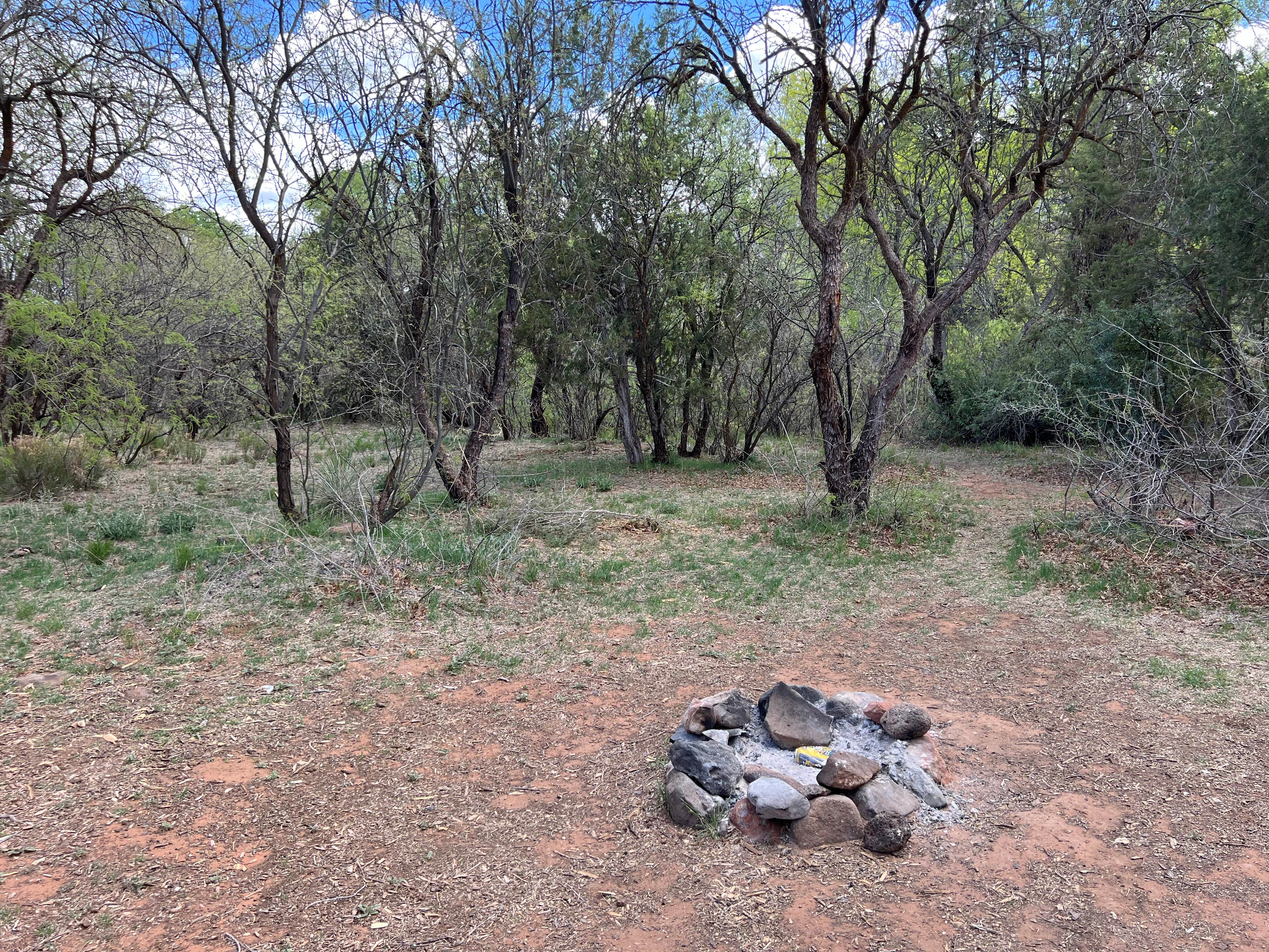 Camper submitted image from FR618 Dispersed Camping - 5