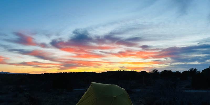 Camper submitted image from FR618 Dispersed Camping