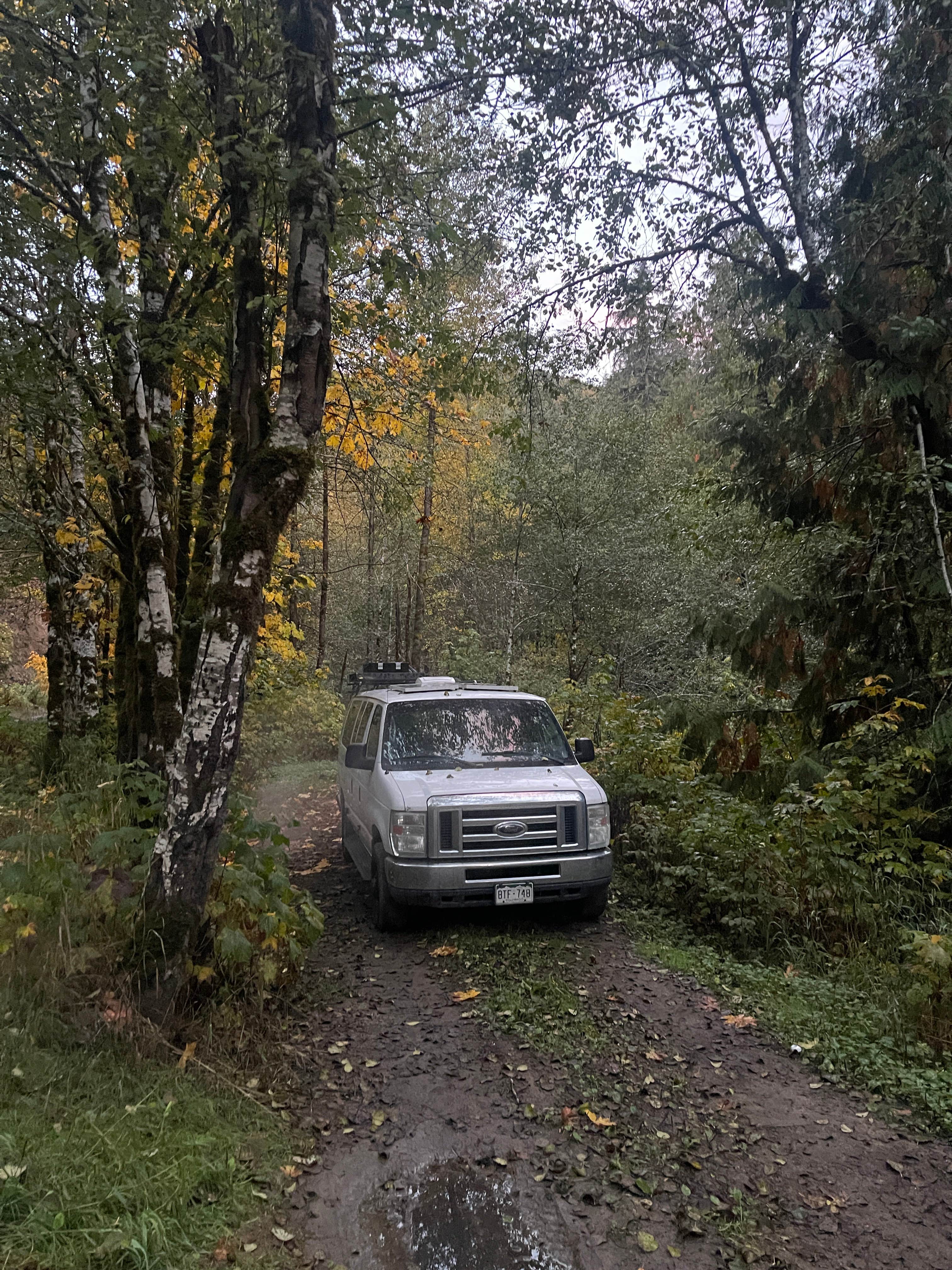 Camper-submitted photo at FR74 dispersed near Orting, WA