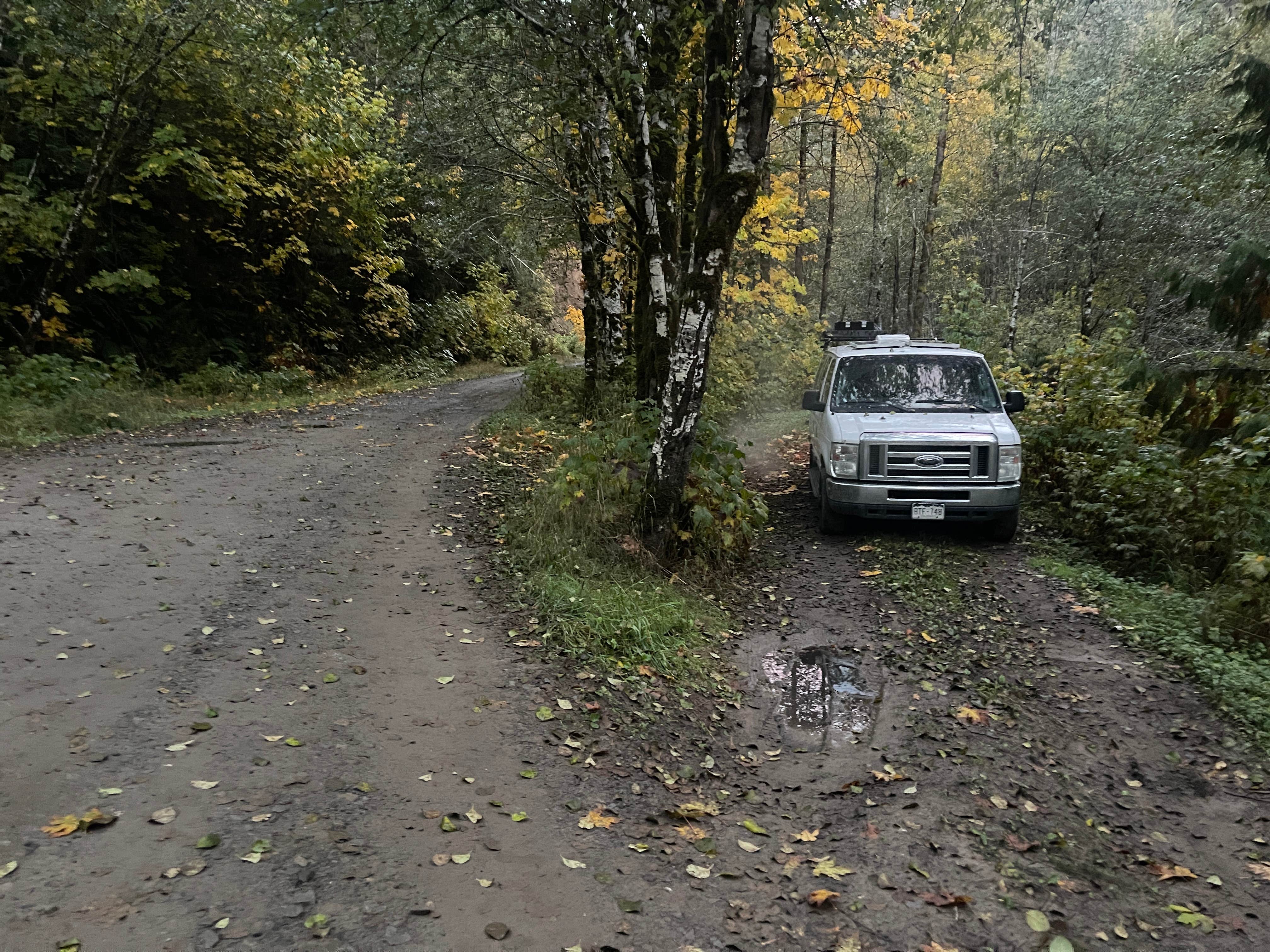 Camper-submitted photo at FR74 dispersed near Orting, WA