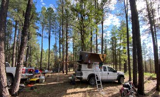 Camping near Blue Ridge Reservoir: FR95 Dispersed Camping, Pine, Arizona